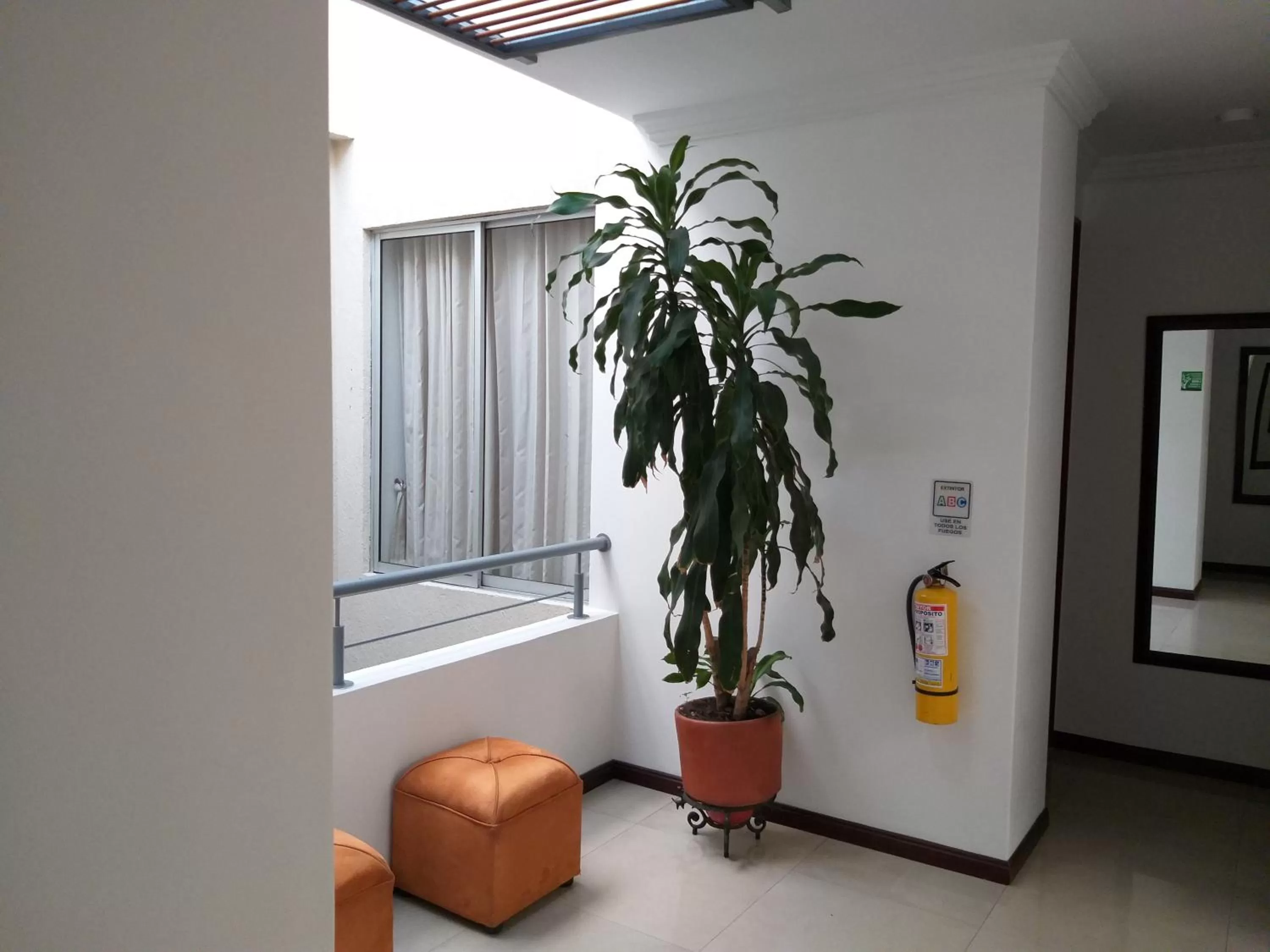 Area and facilities in Pampalinda Hotel