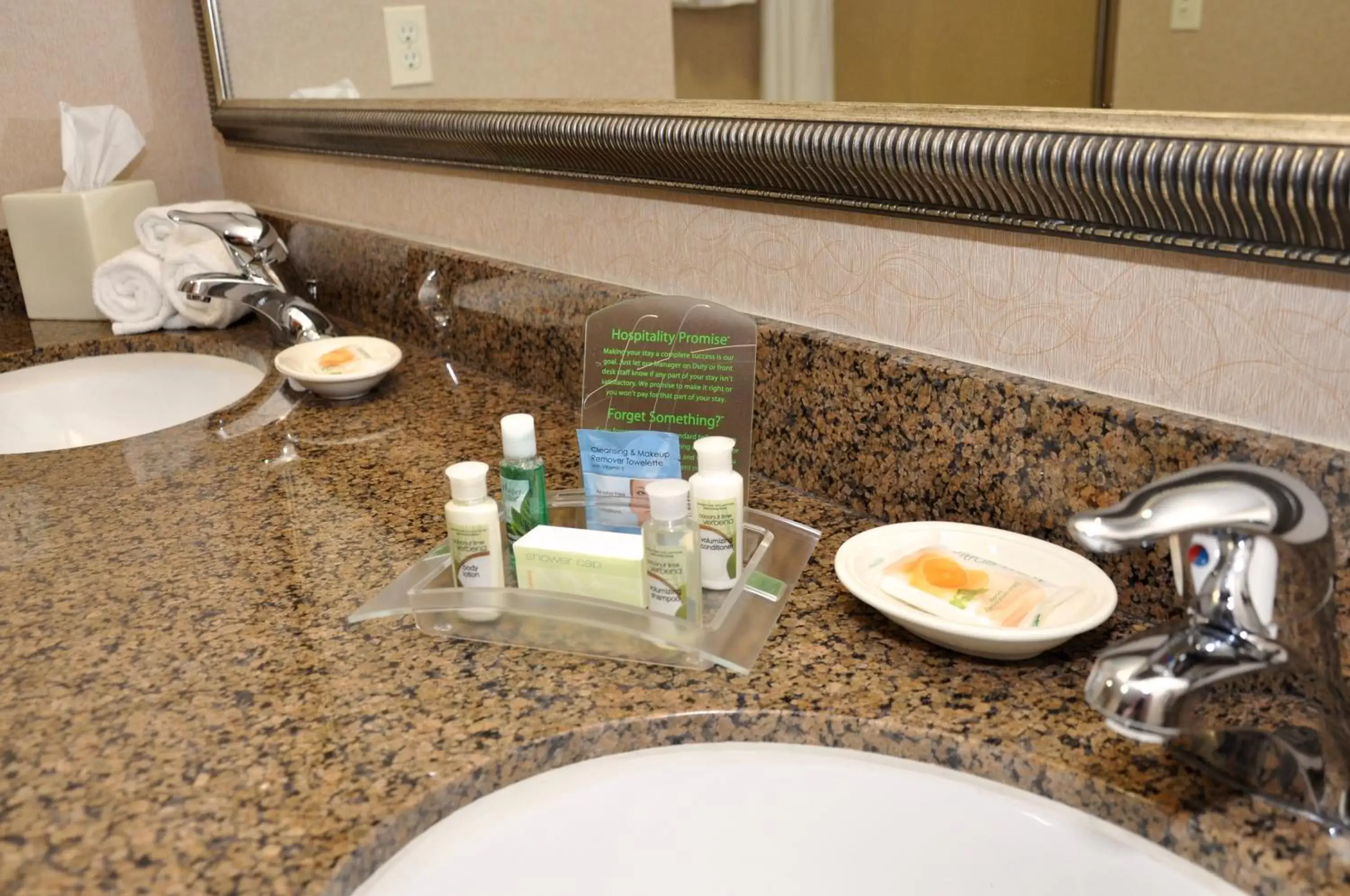 King Room - Disability Access with Roll In Shower in Holiday Inn Oakland Airport, an IHG Hotel King Room - Disability Access with Roll In Shower in Holiday Inn Oakland Airport, an IHG Hotel