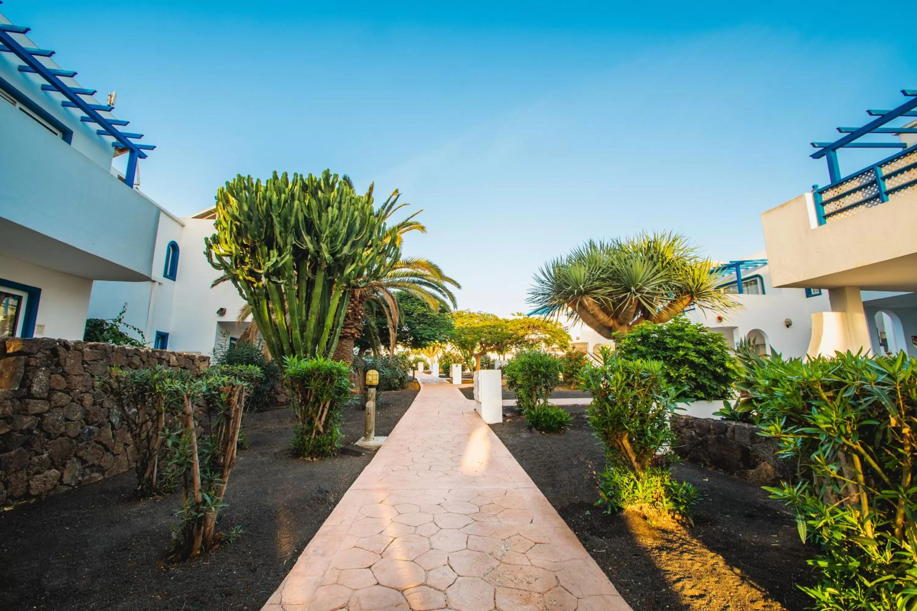 Garden in HL Paradise Island