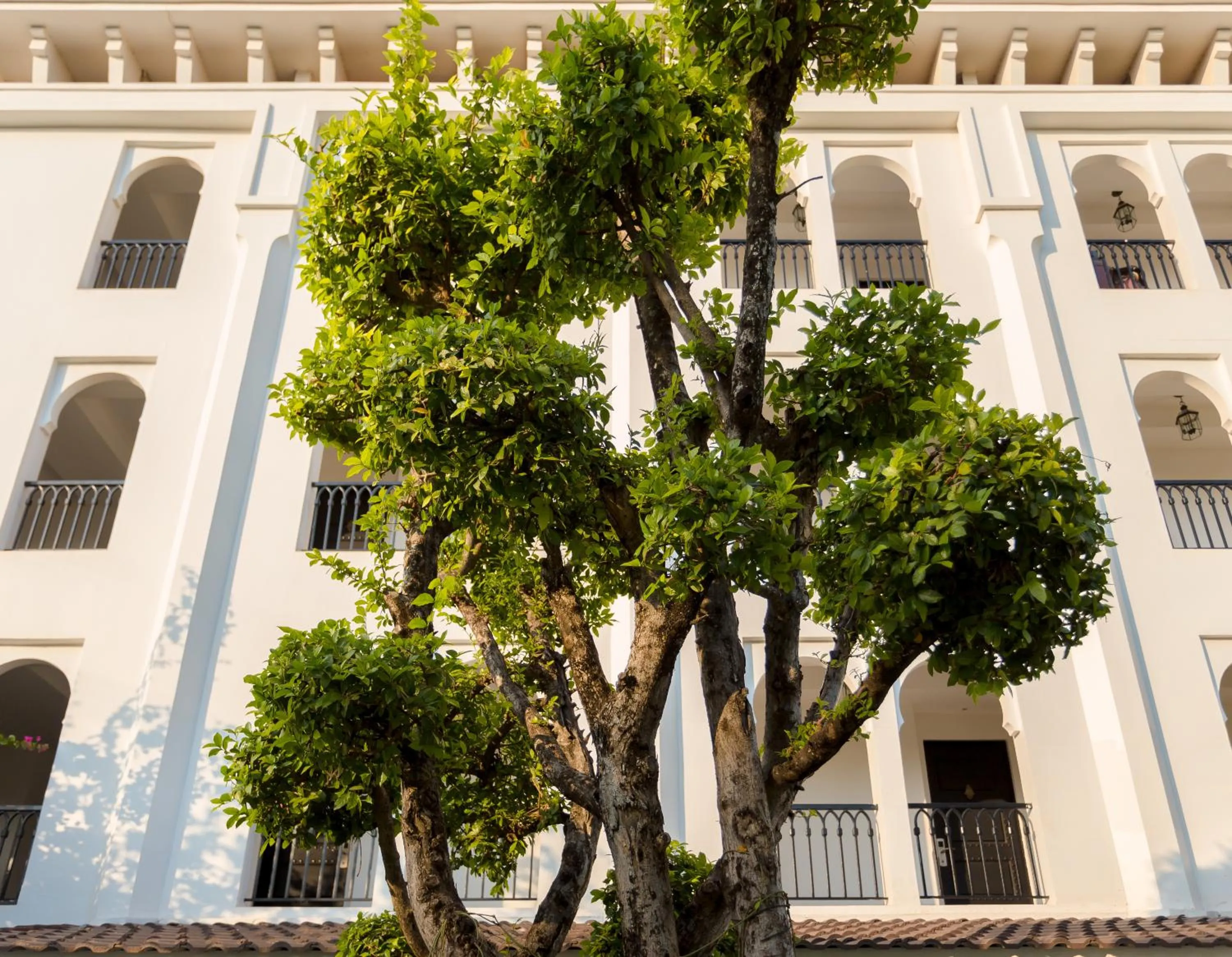 Other in Sarai and Wander Resort