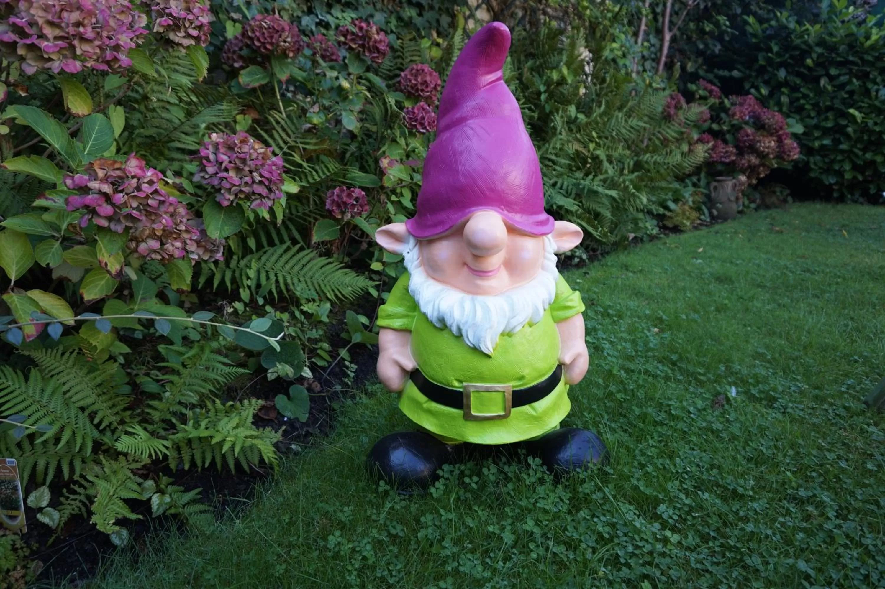 Garden in Lys Hôtel