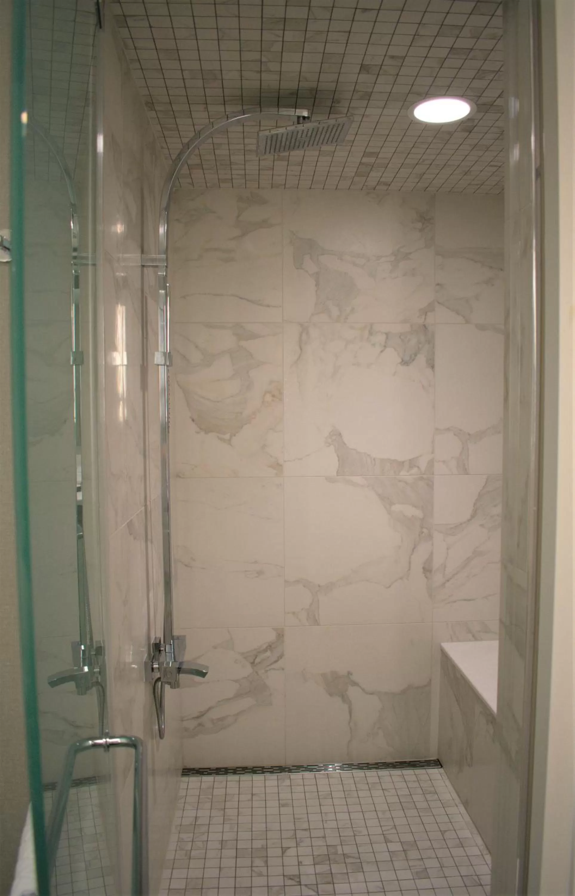 Shower in YO1 Longevity & Health Resorts, Catskills