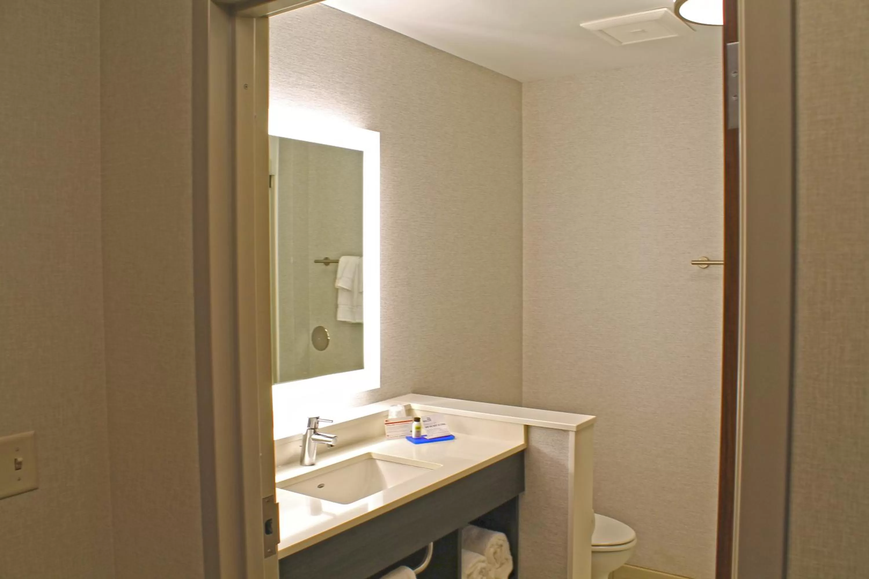 Bathroom in Holiday Inn Express & Suites - St. Louis South - I-55 by IHG