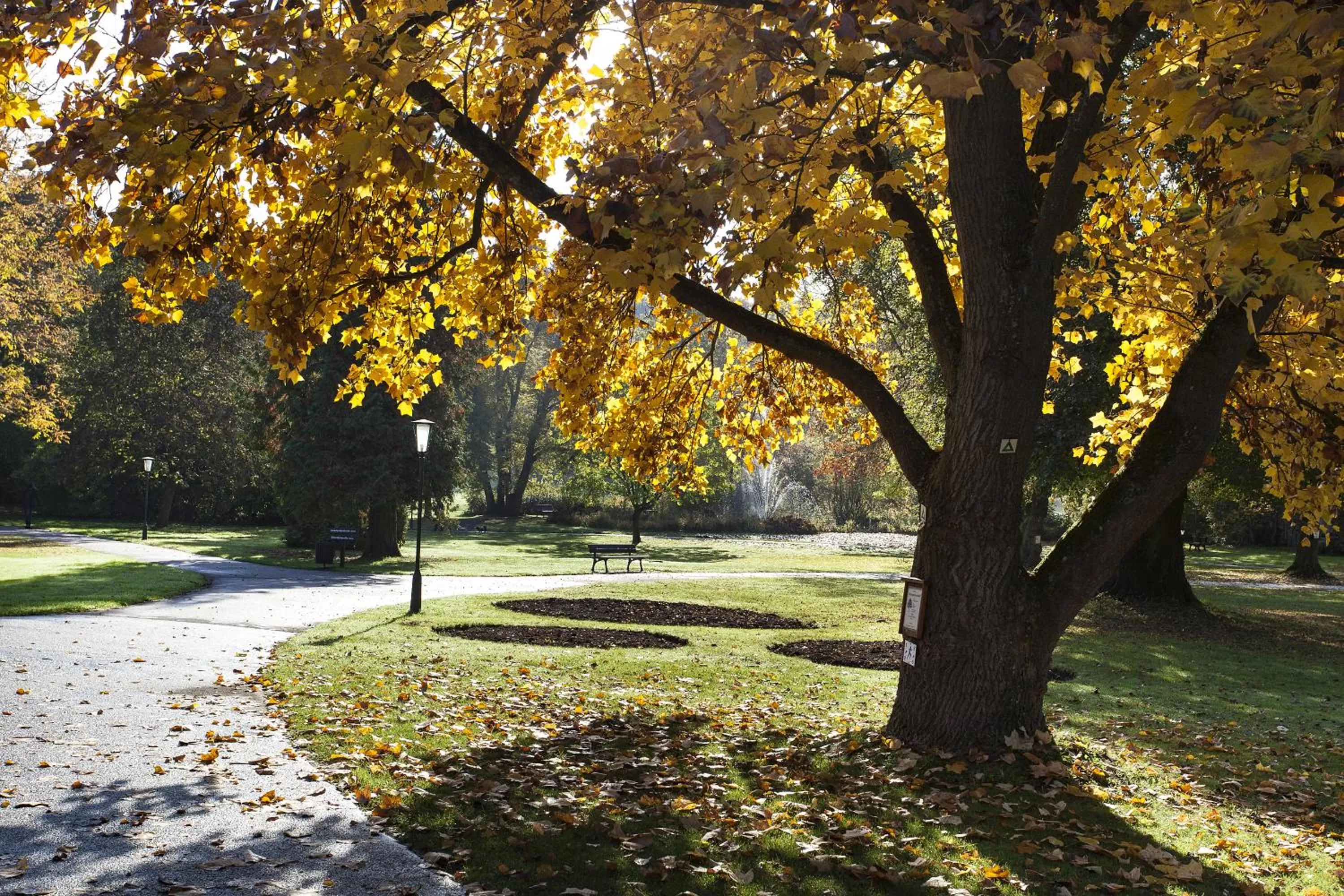 Off site in Kurhaushotel Bad Salzhausen