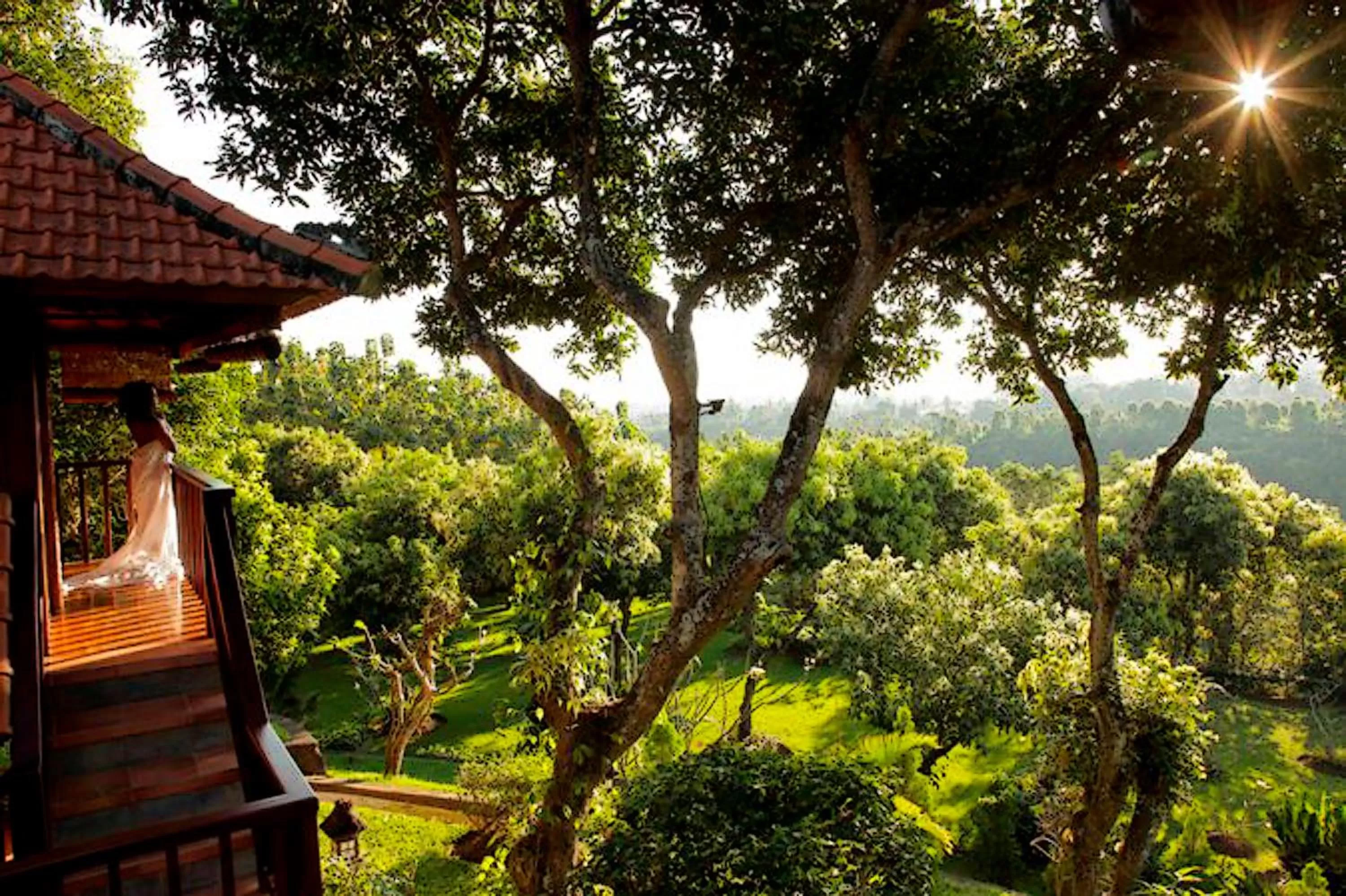 Restaurant/places to eat in Shanti Natural Panorama View Hotel