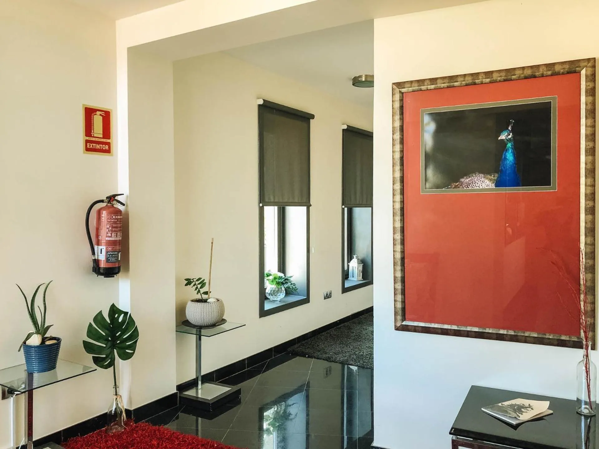 View (from property/room) in Peregrina Hotel