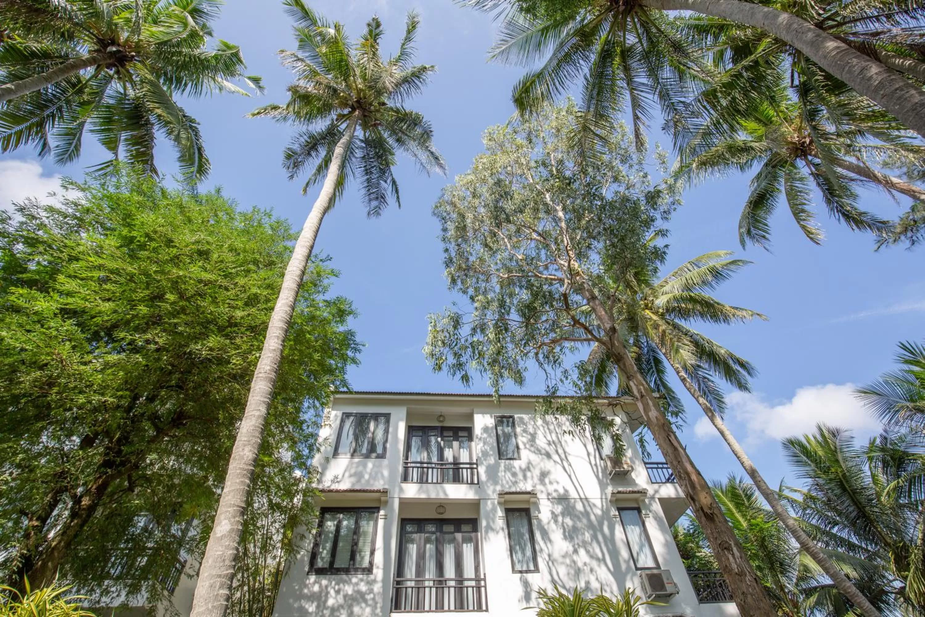 Property building in Tra Que Mansion