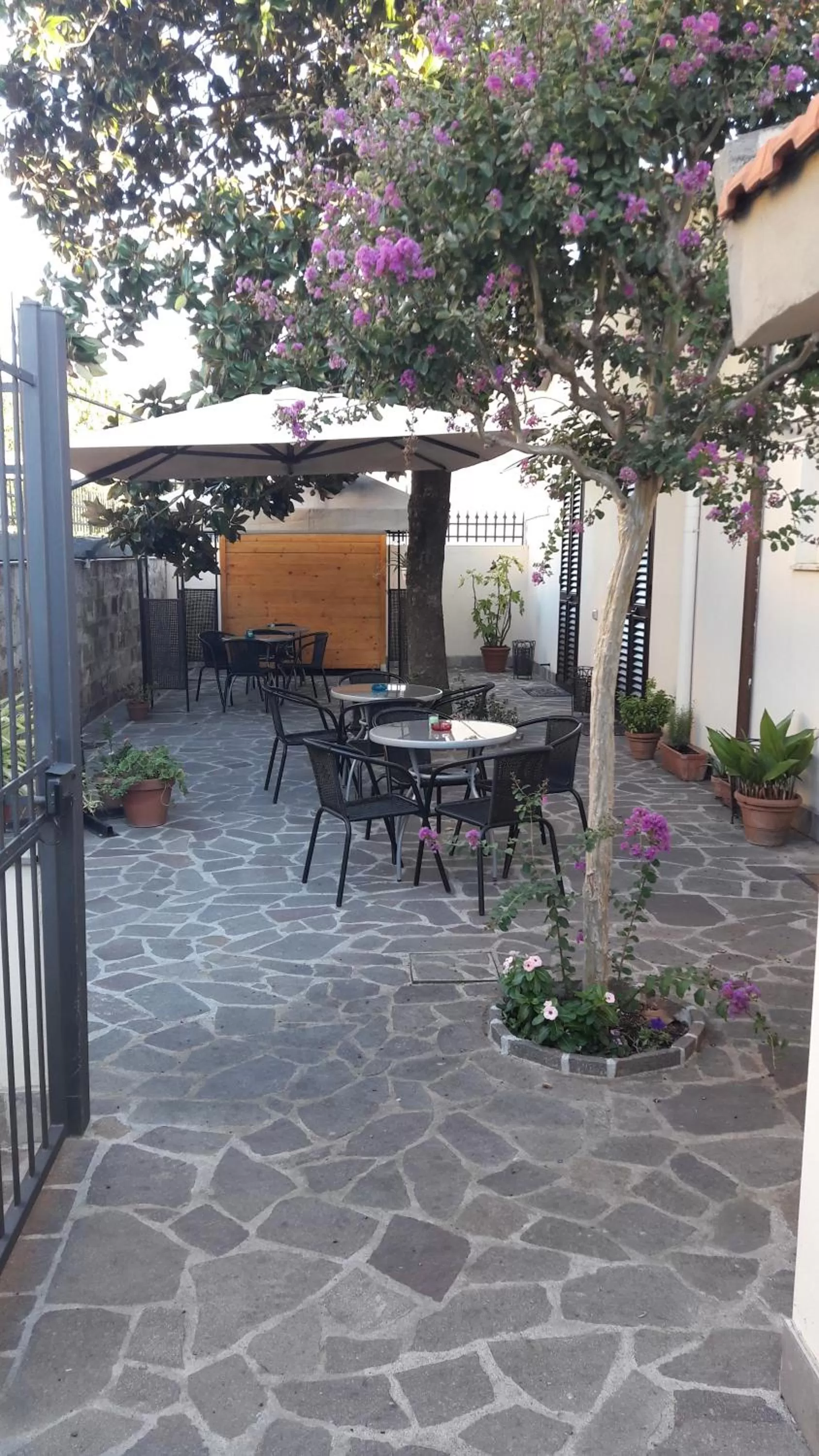 Property building in Florence Stadium B&B