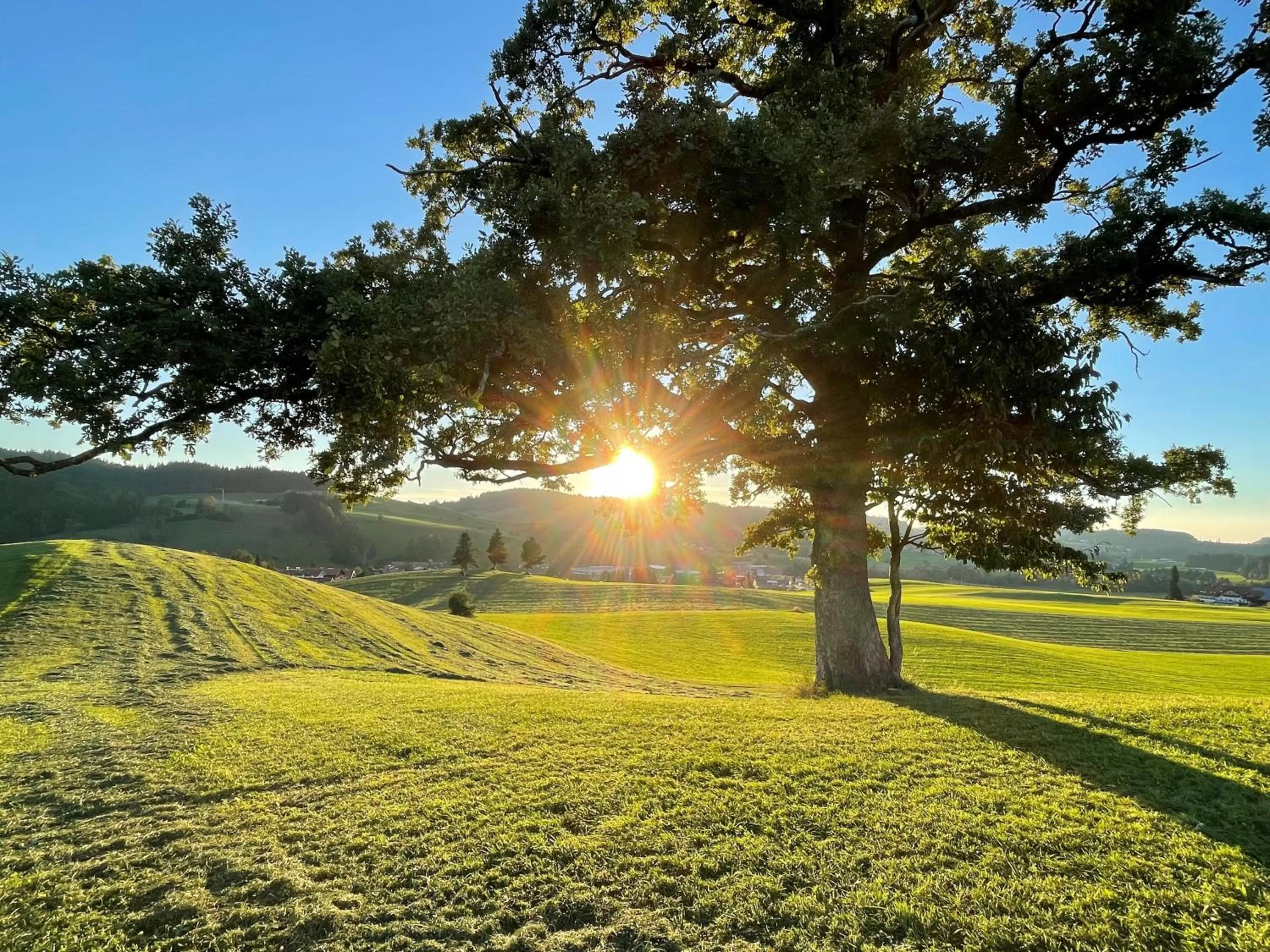 Hiking in Parkhotel Oberstaufen