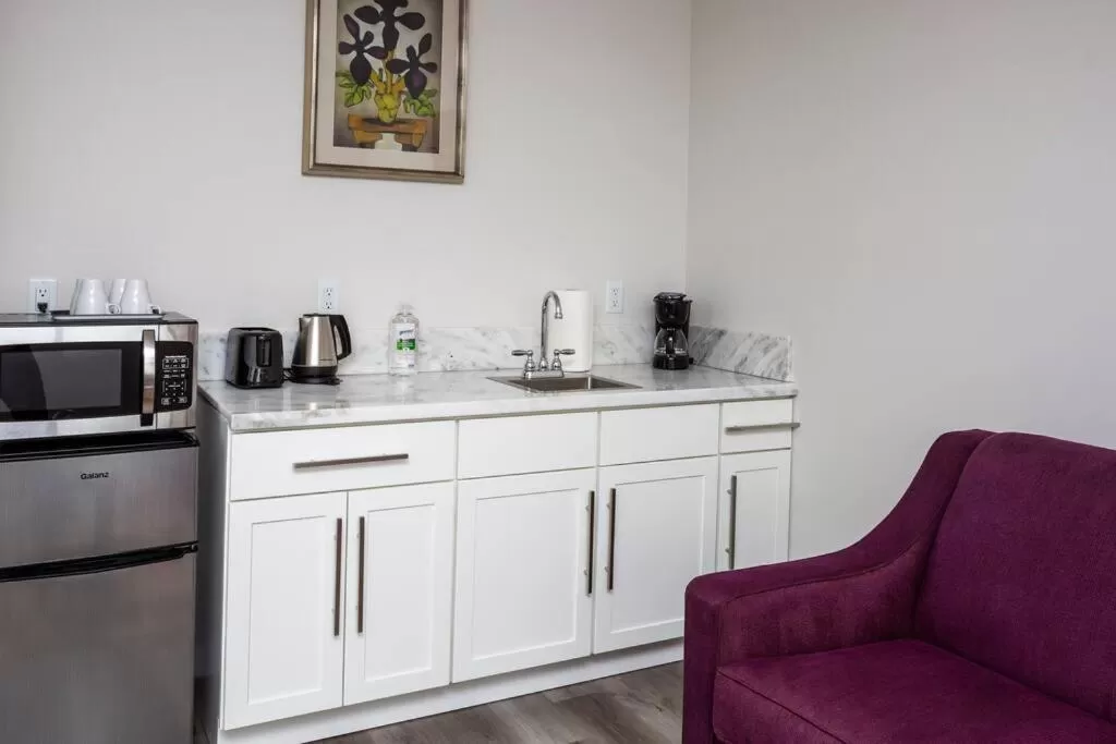 Kitchen/Kitchenette in One Bedroom Apartment with Luxurious Furnitures