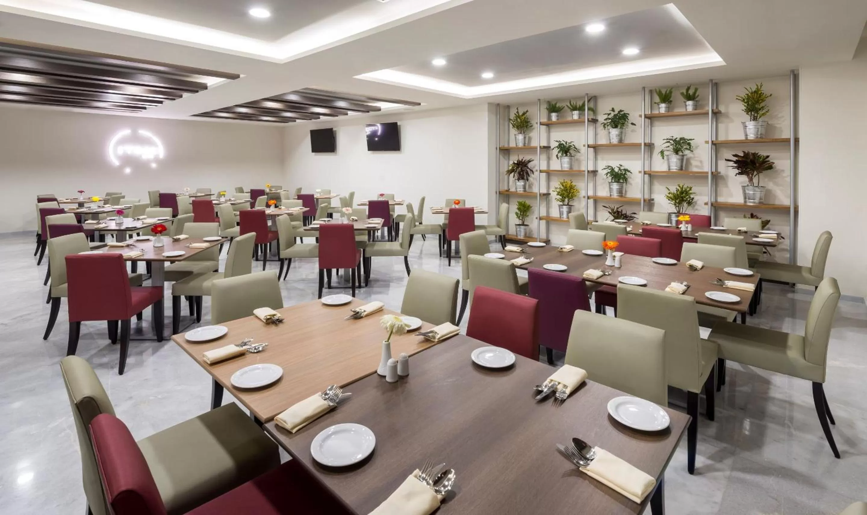 Restaurant/places to eat in Real Inn Celaya