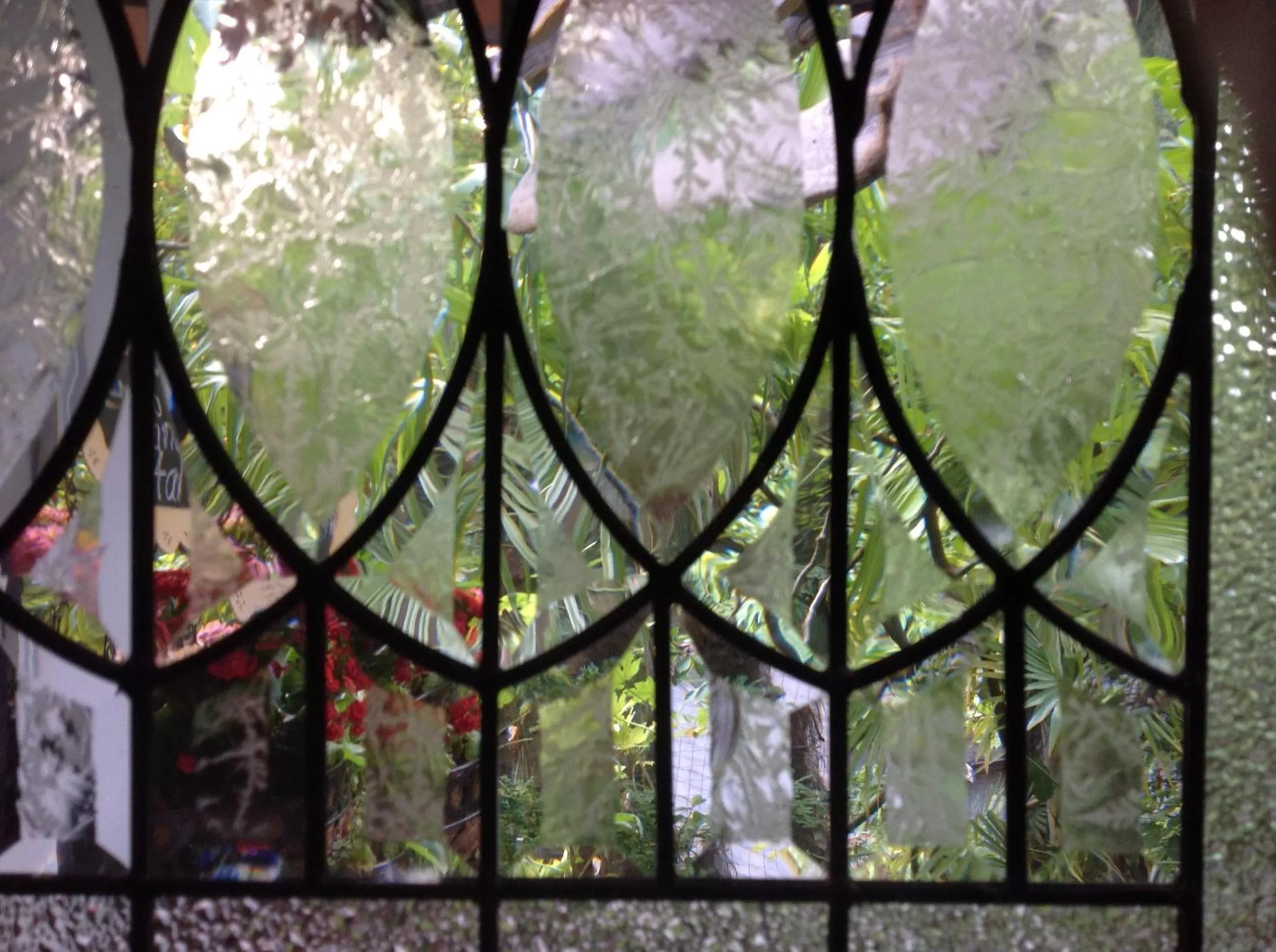 Property building in Magnolia Petal