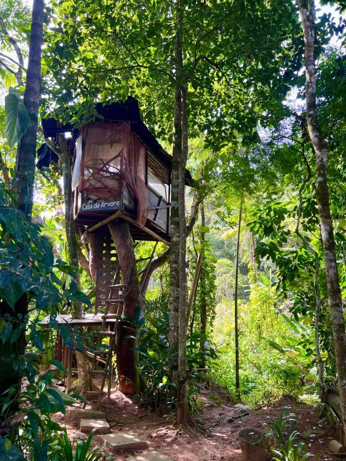 Spring in Sitio Simple Life