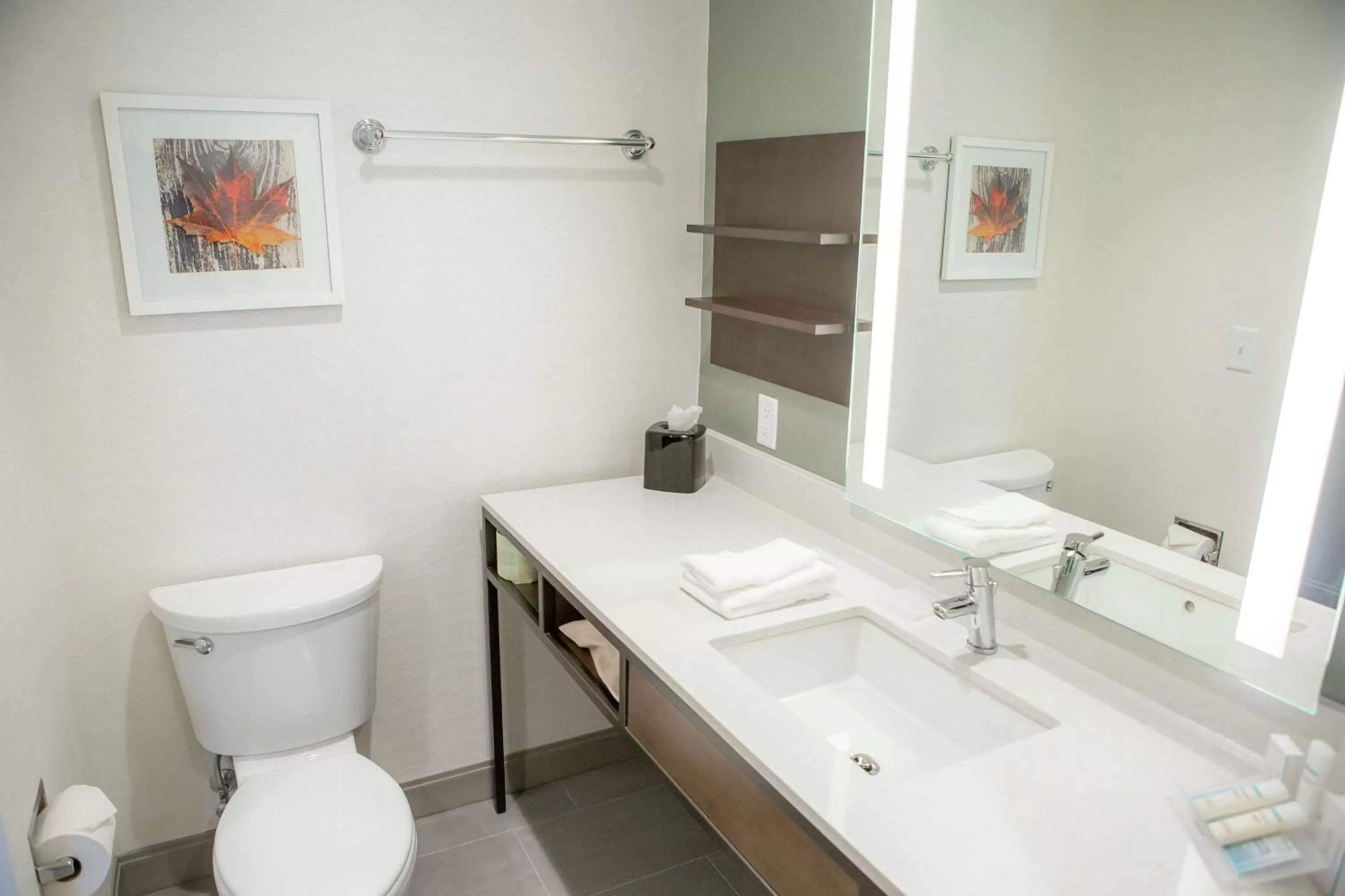 Bathroom in Hilton Garden Inn Corning Downtown