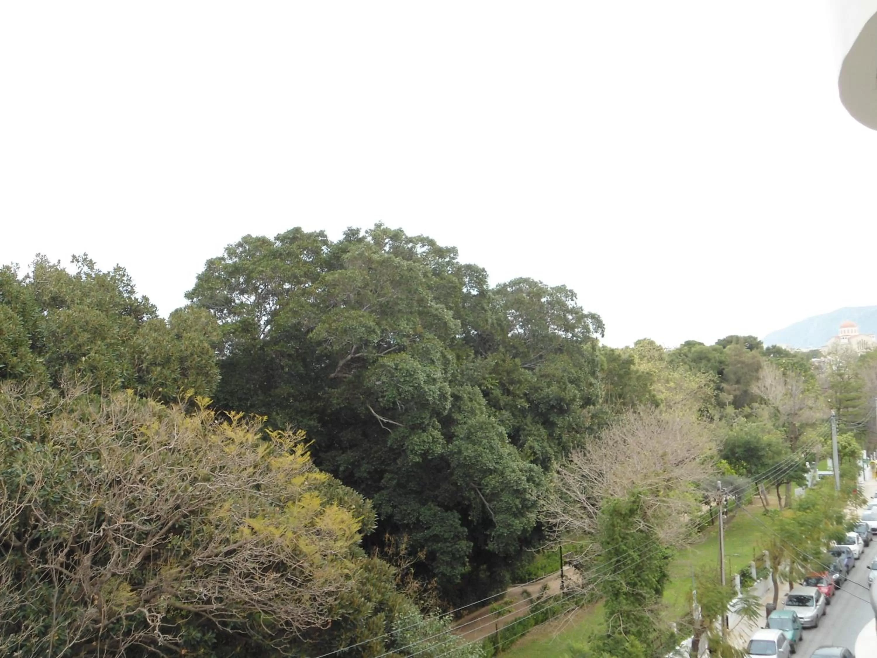 Garden view in Ellinis Hotel