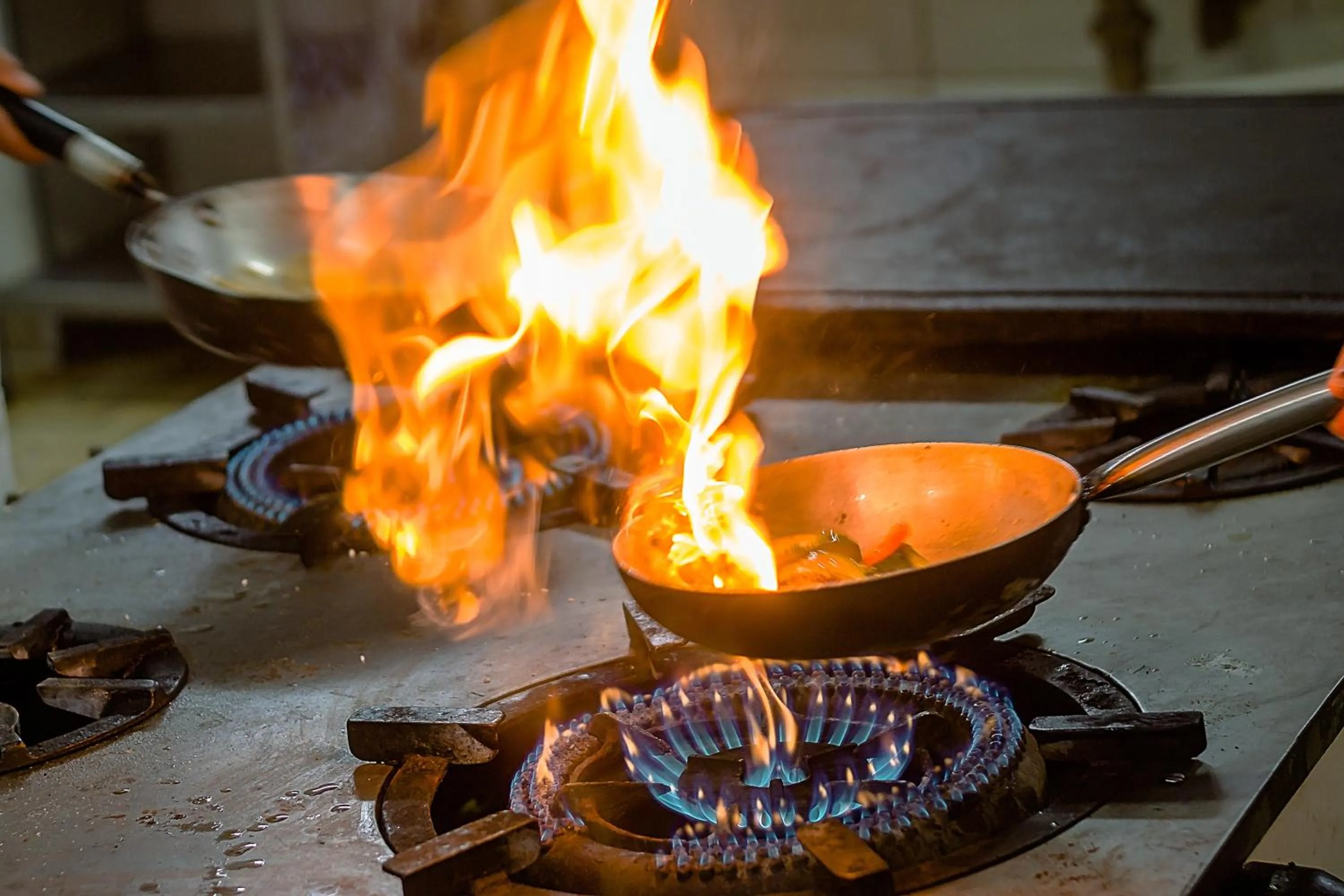 Food in Hotel Shelton