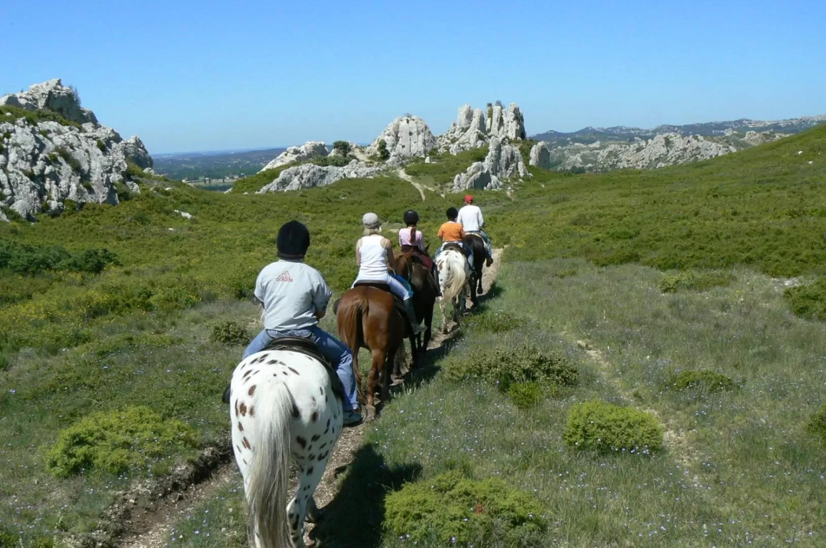 Horse-riding in Hotel Terriciaë aux portes de Maussane les Alpilles