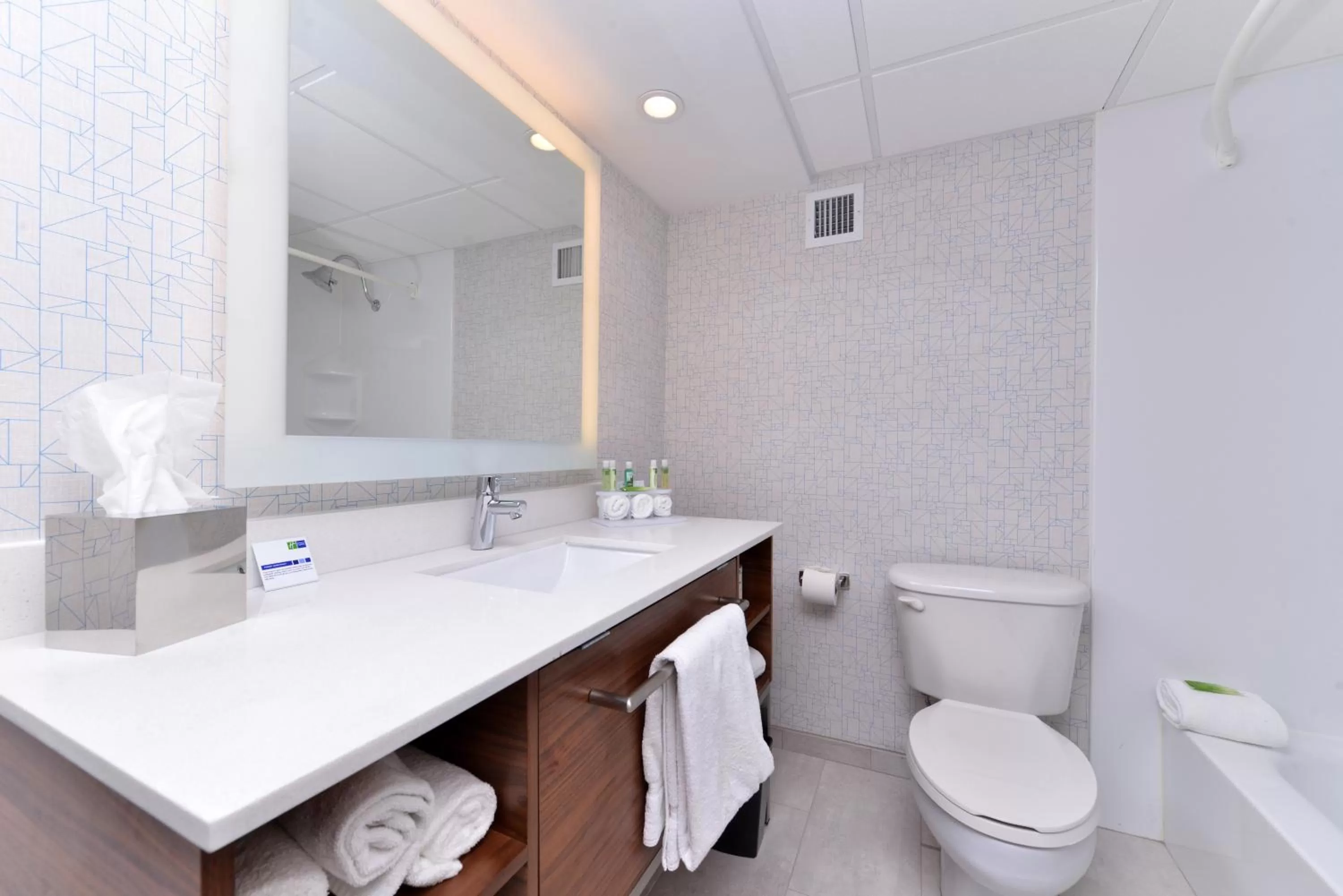 Bathroom in Holiday Inn Express & Suites Springfield by IHG