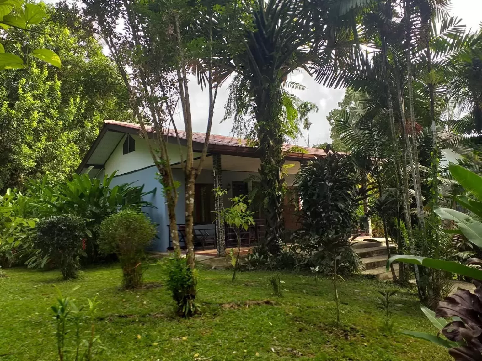 Tree Tops River Huts