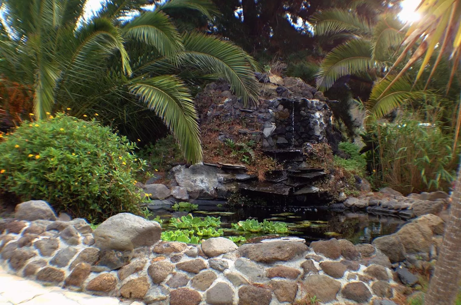 Garden in Jardin de Aridane