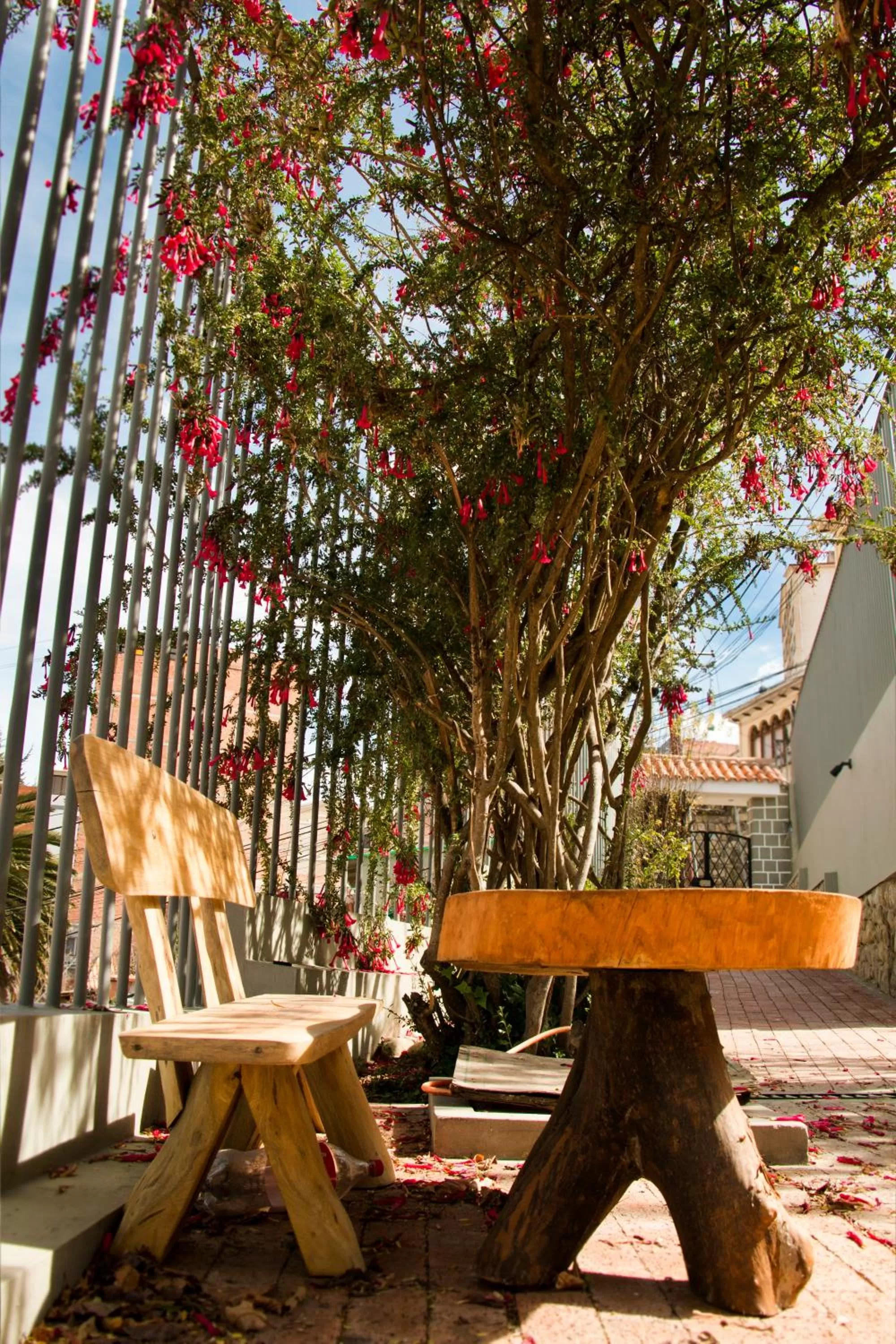 Garden in Qhini Hotel Boutique