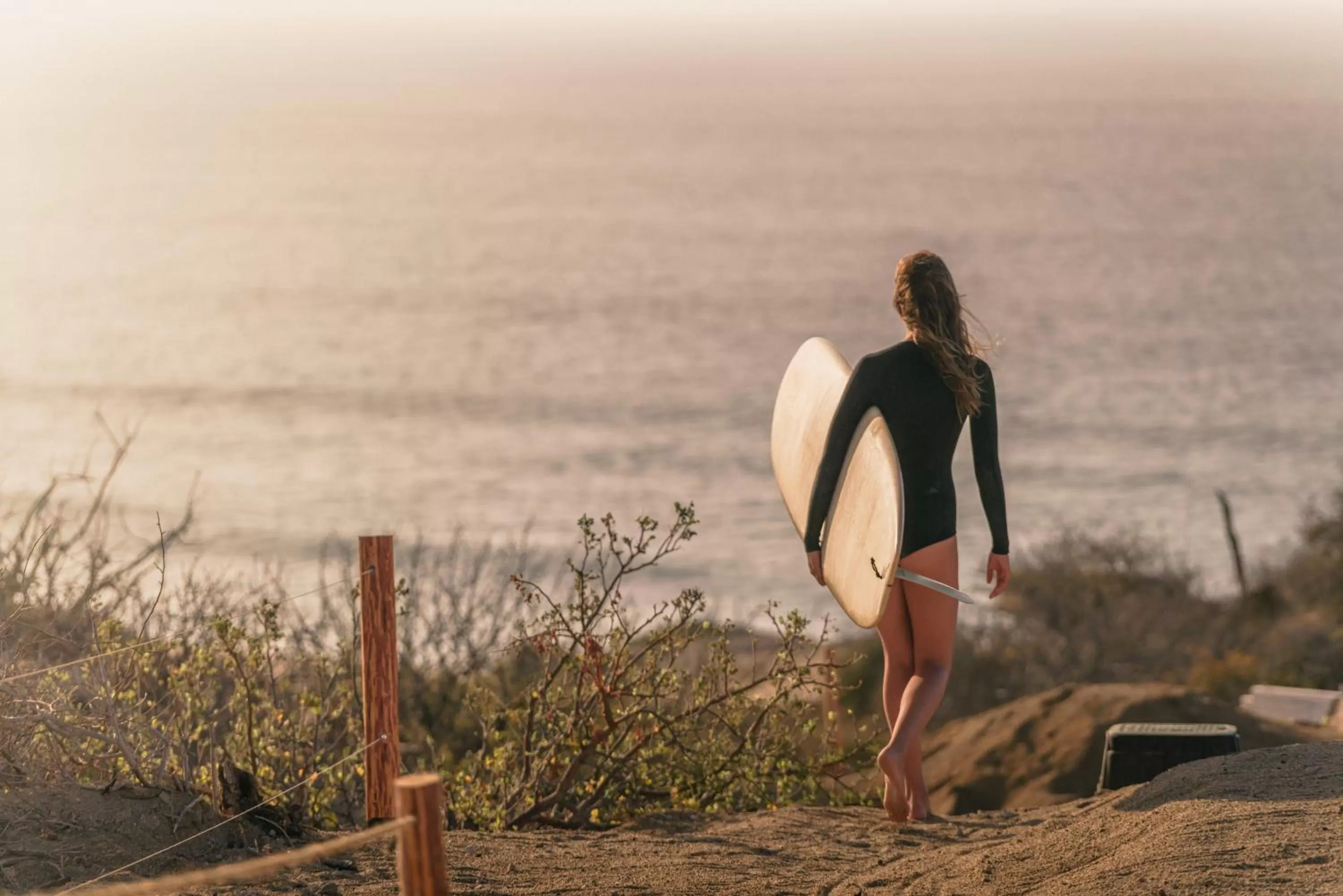 Beach in The White Lodge