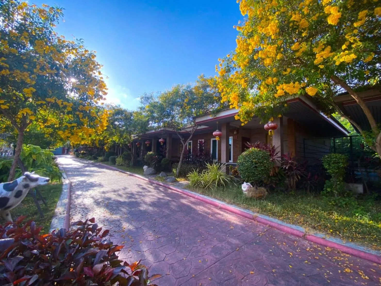 Property building in Dreampark resort