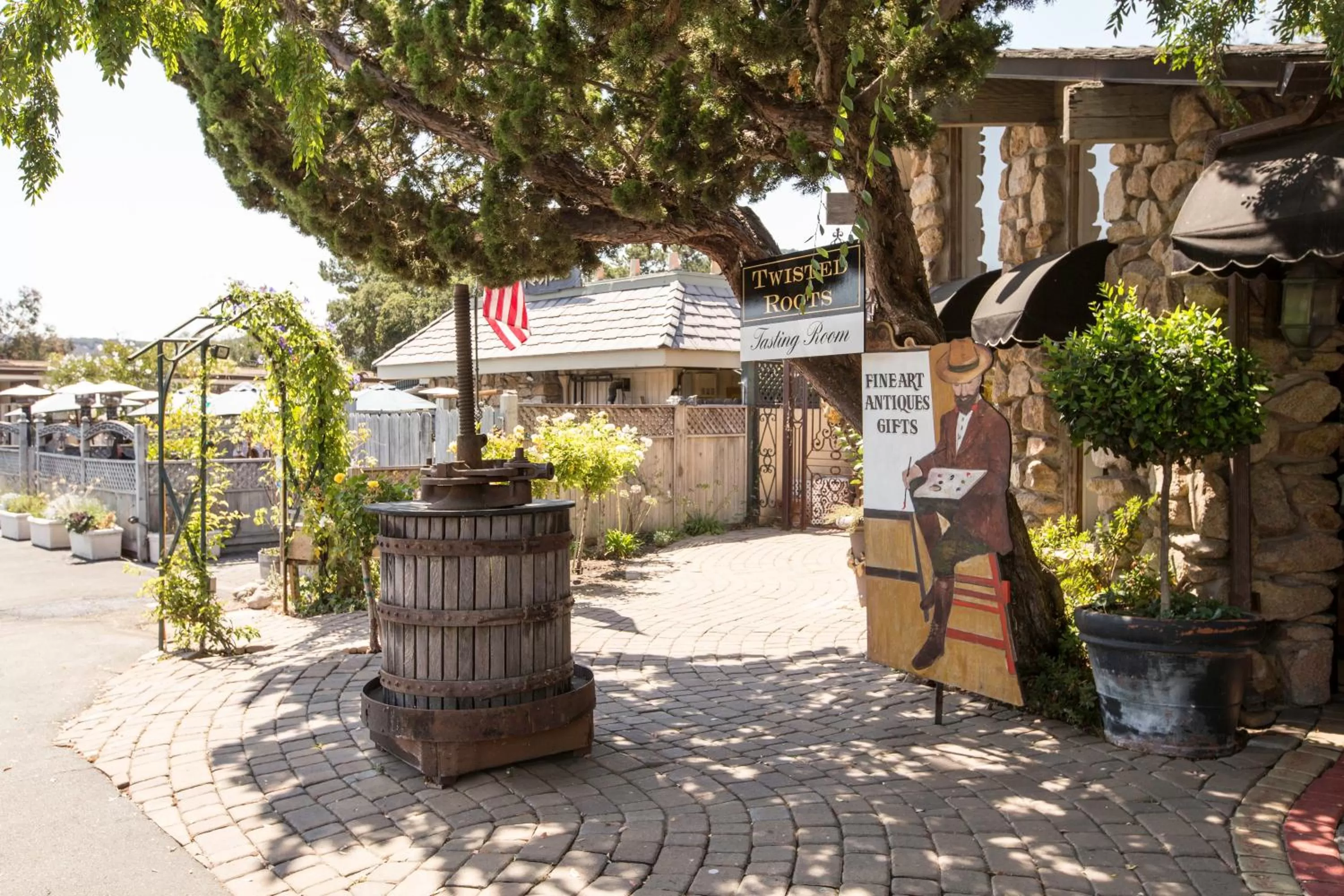 Activities in Contenta Inn