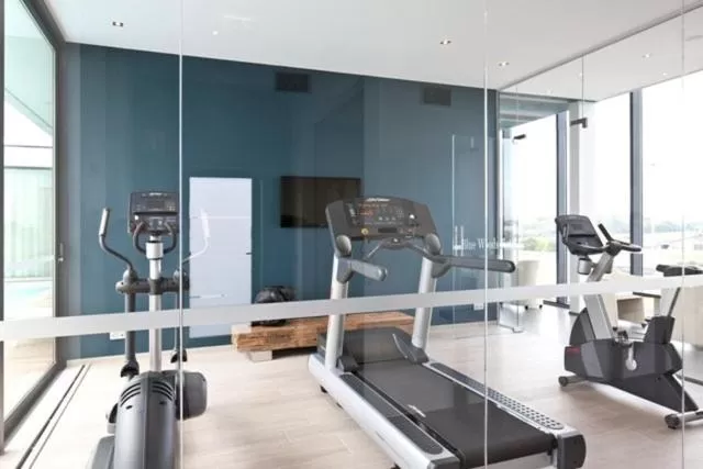 Fitness centre/facilities in Blue Woods Hotel - Deerlijk