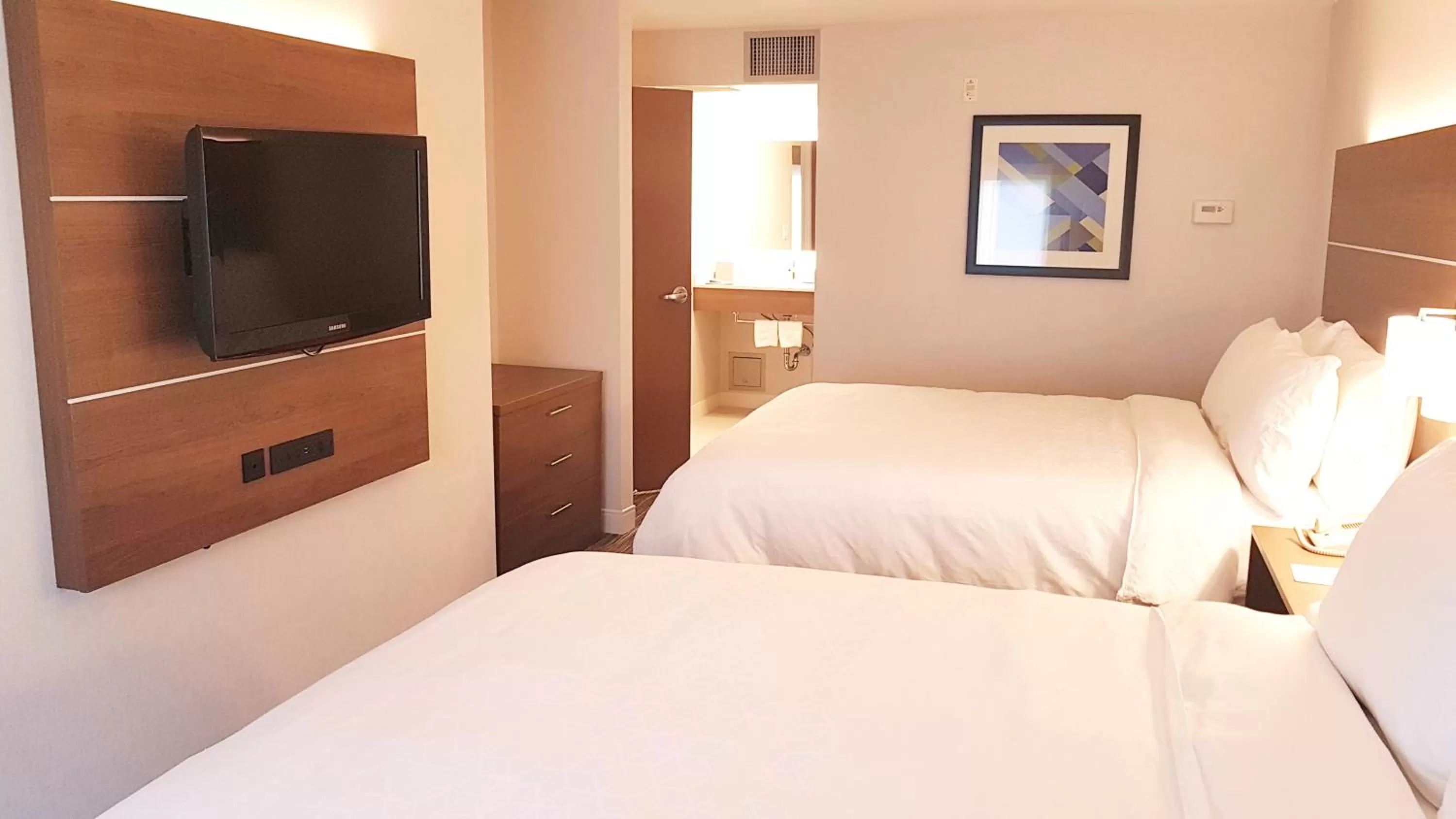 Holiday Inn Express and Suites Surrey by IHG