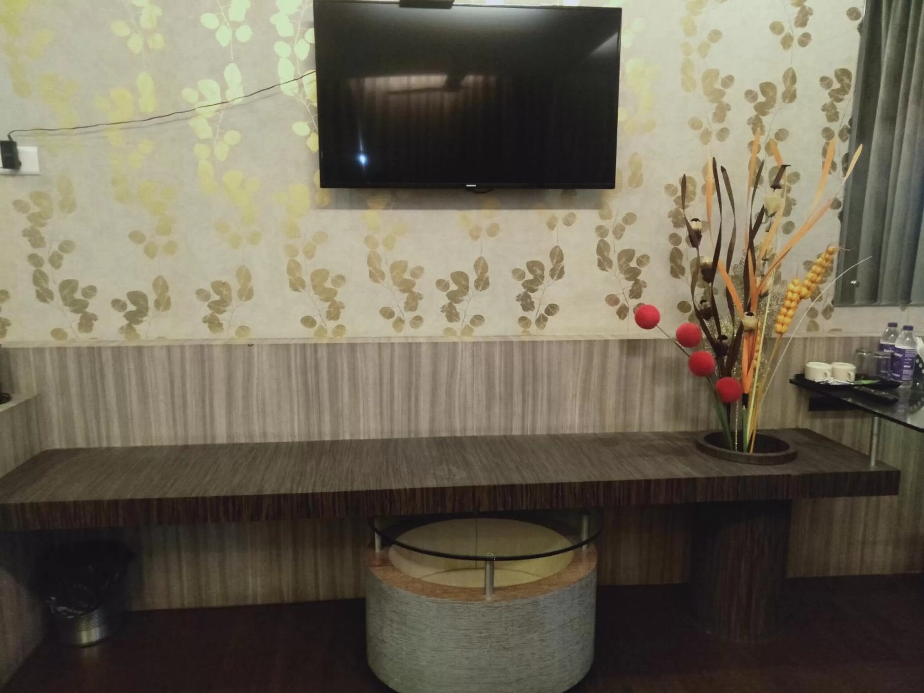 TV and multimedia in Hotel Udayanraje Palace