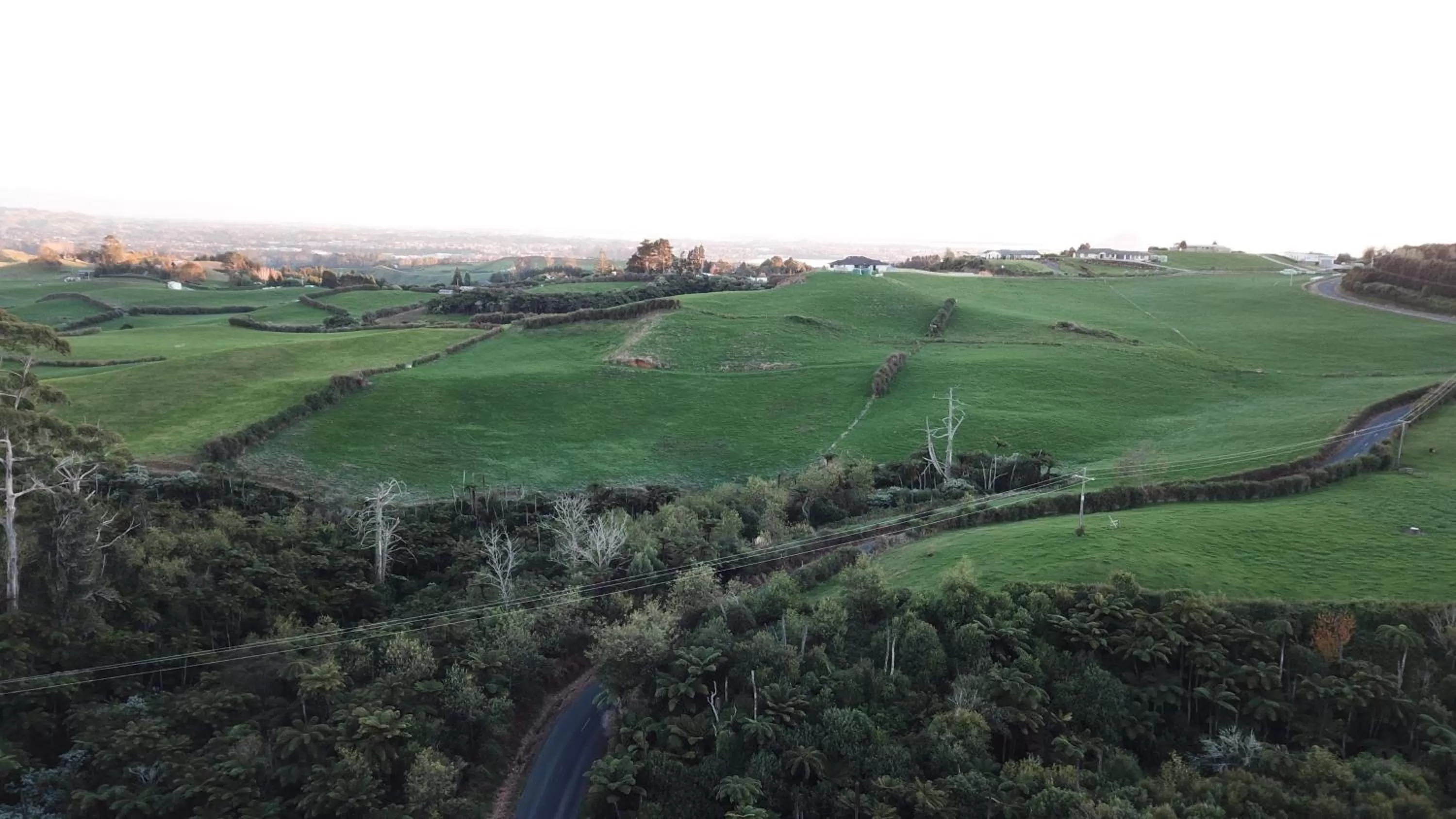 Natural landscape in Arohanui Rural Retreat B&B