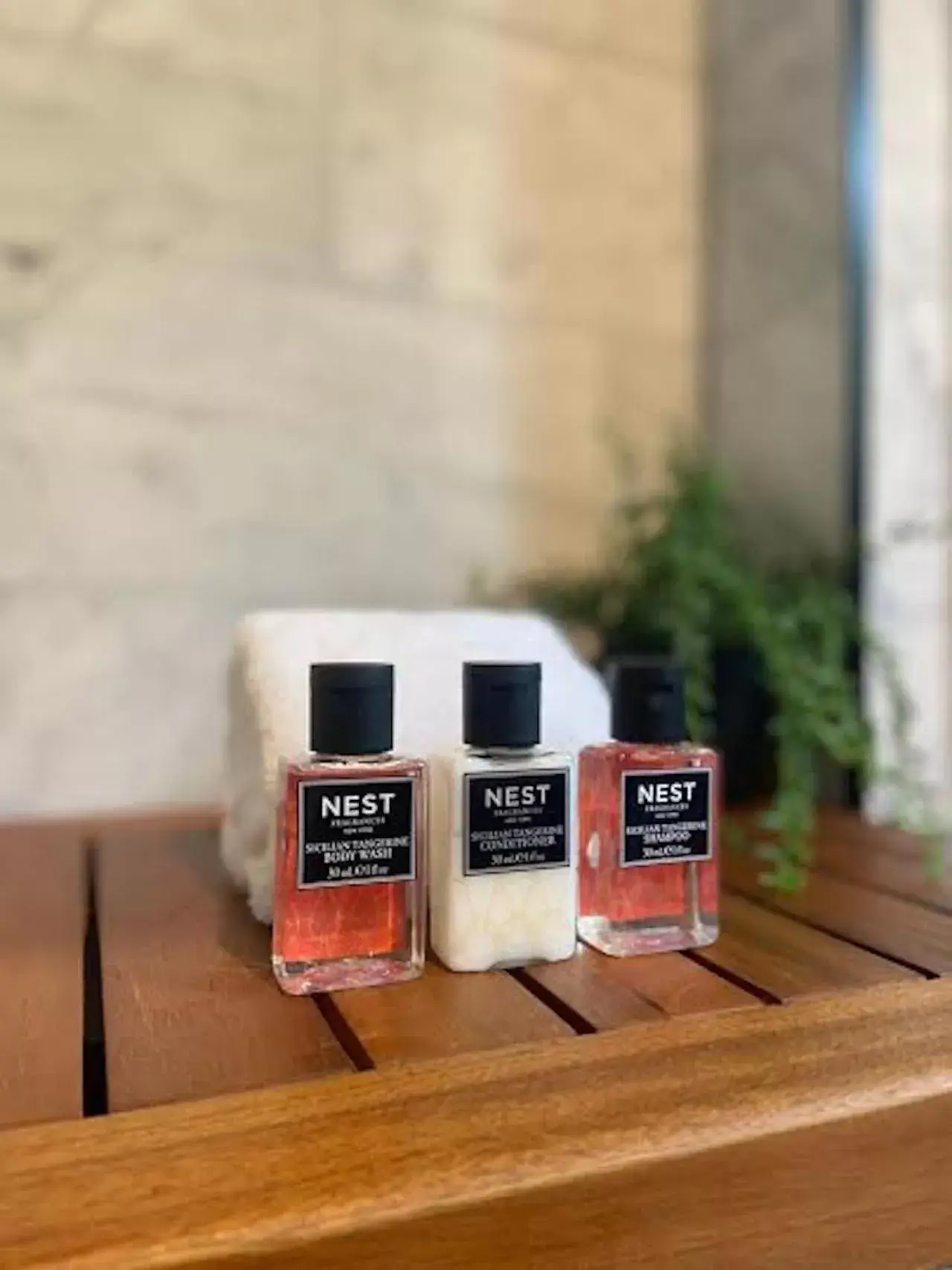 Two-Bedroom Suite in The Truitt Two-Bedroom Suite in The Truitt