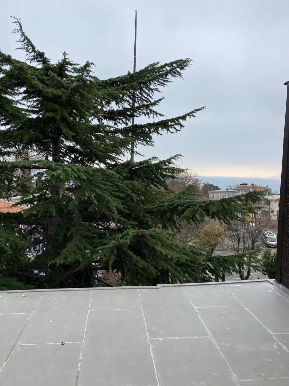 Day in Hotel Blue Ottoman