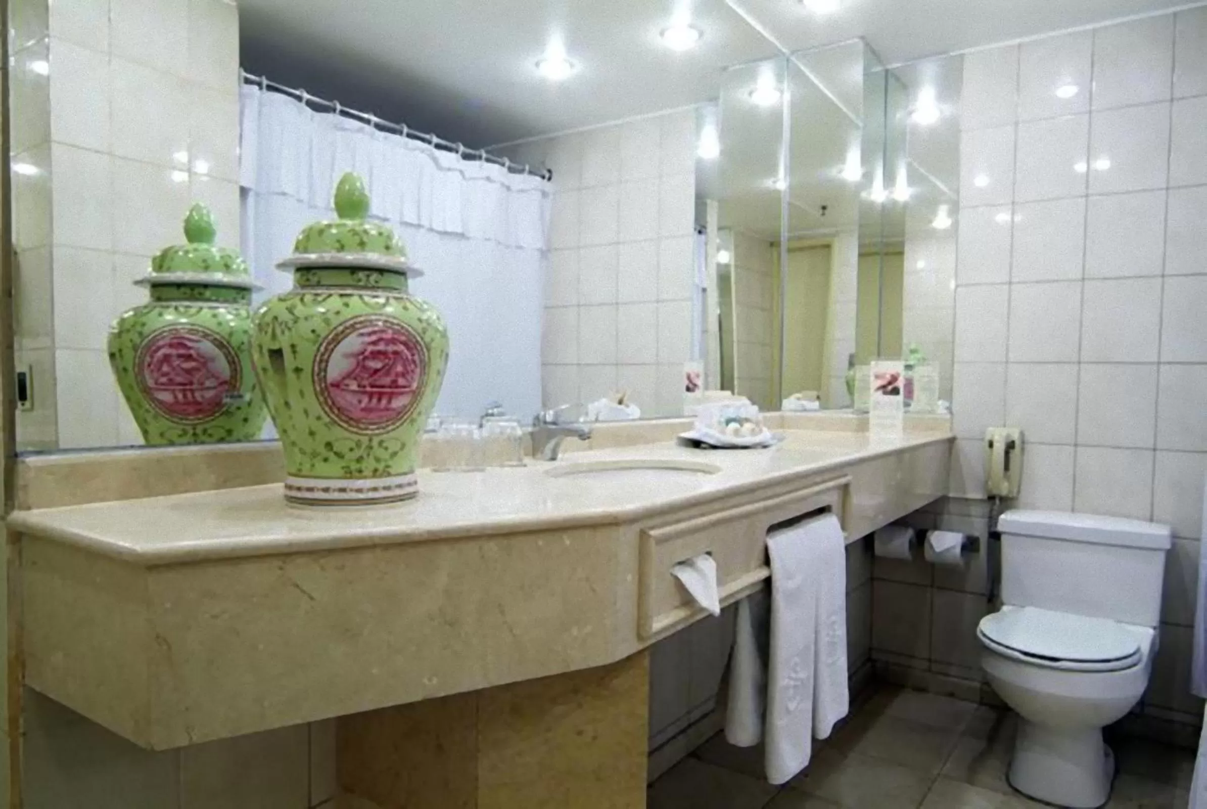 Toilet in Park Plaza Santiago