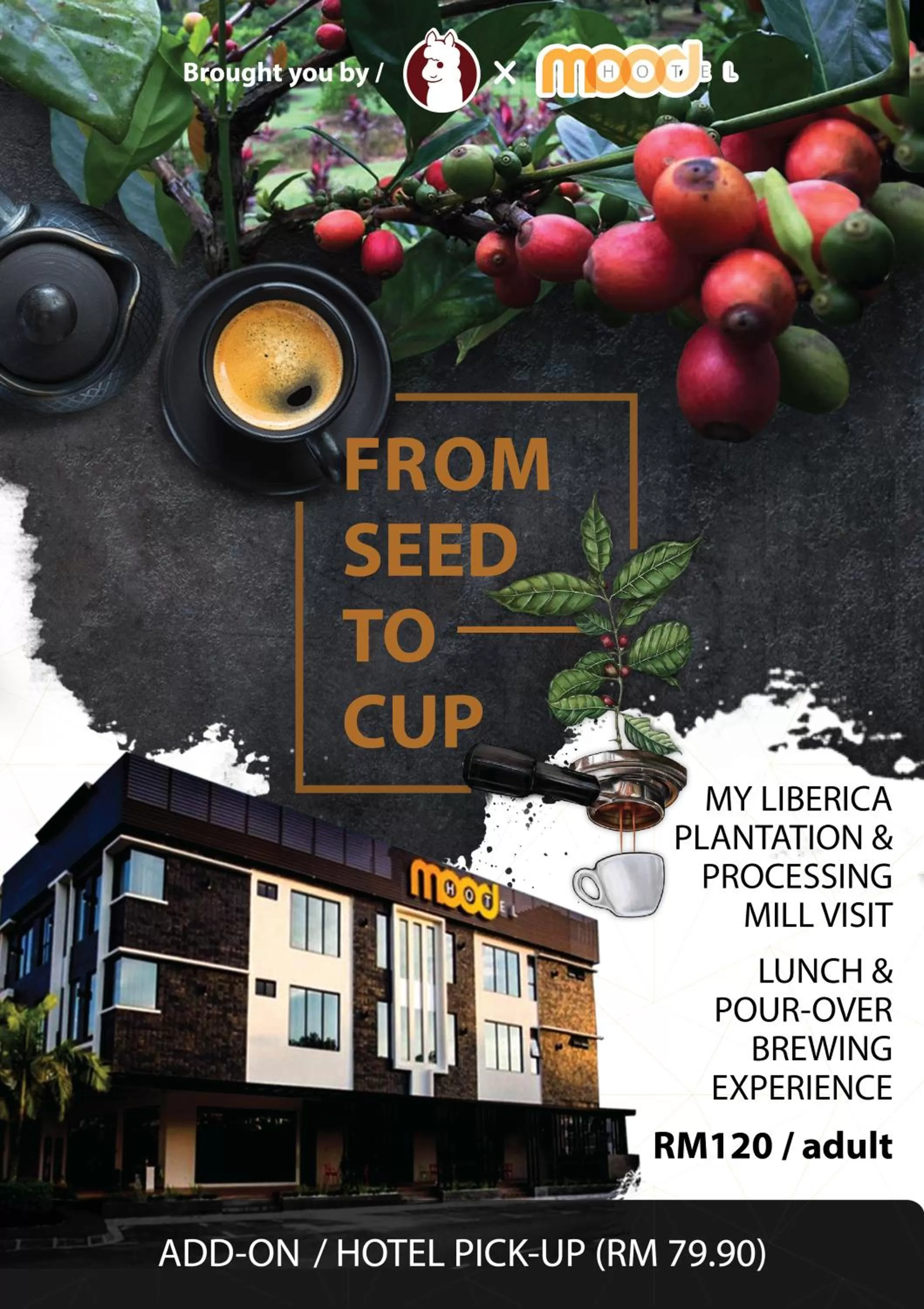 Activities in Mood Hotel