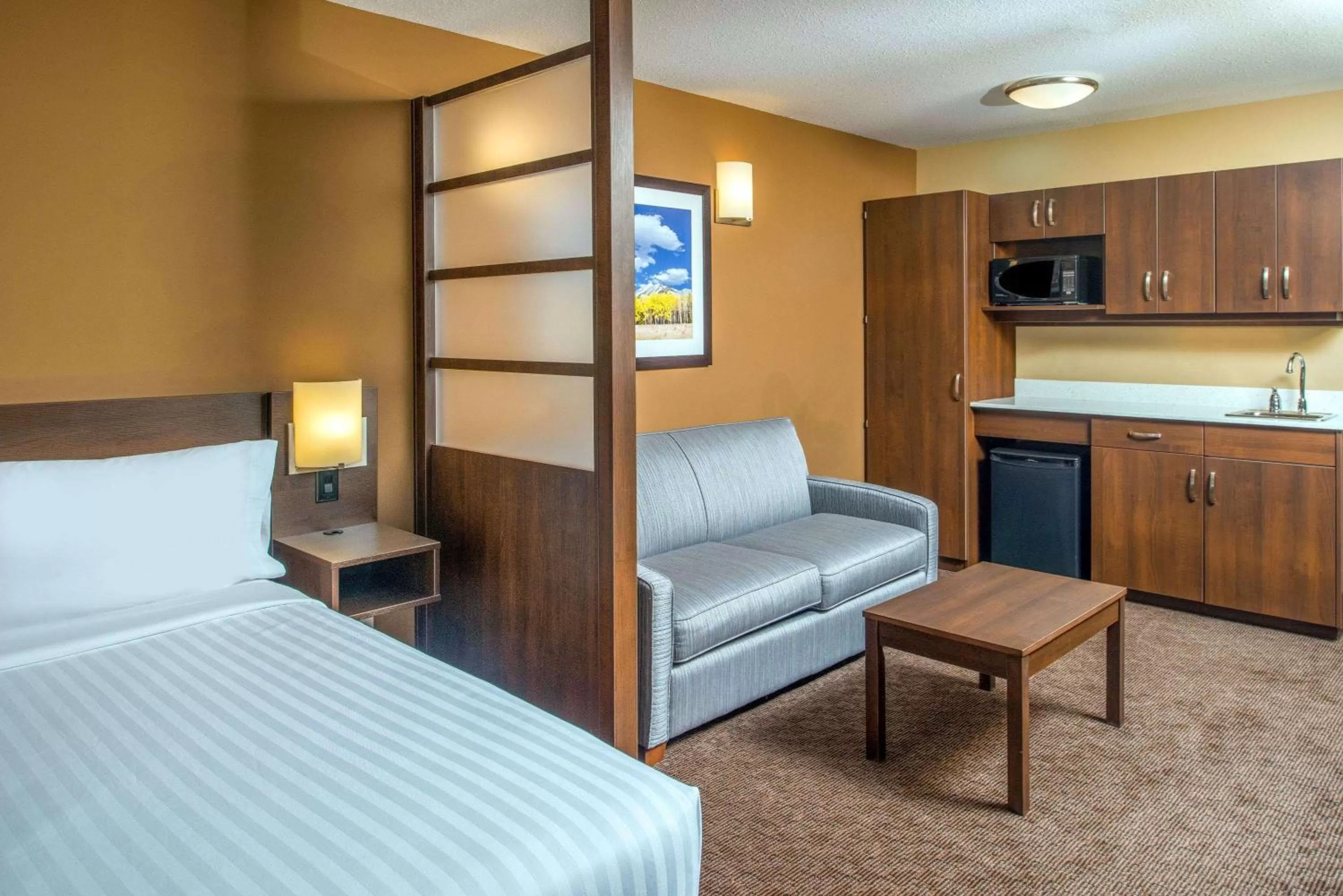 Photo of the whole room, Bed in Microtel Inn & Suites by Wyndham Red Deer