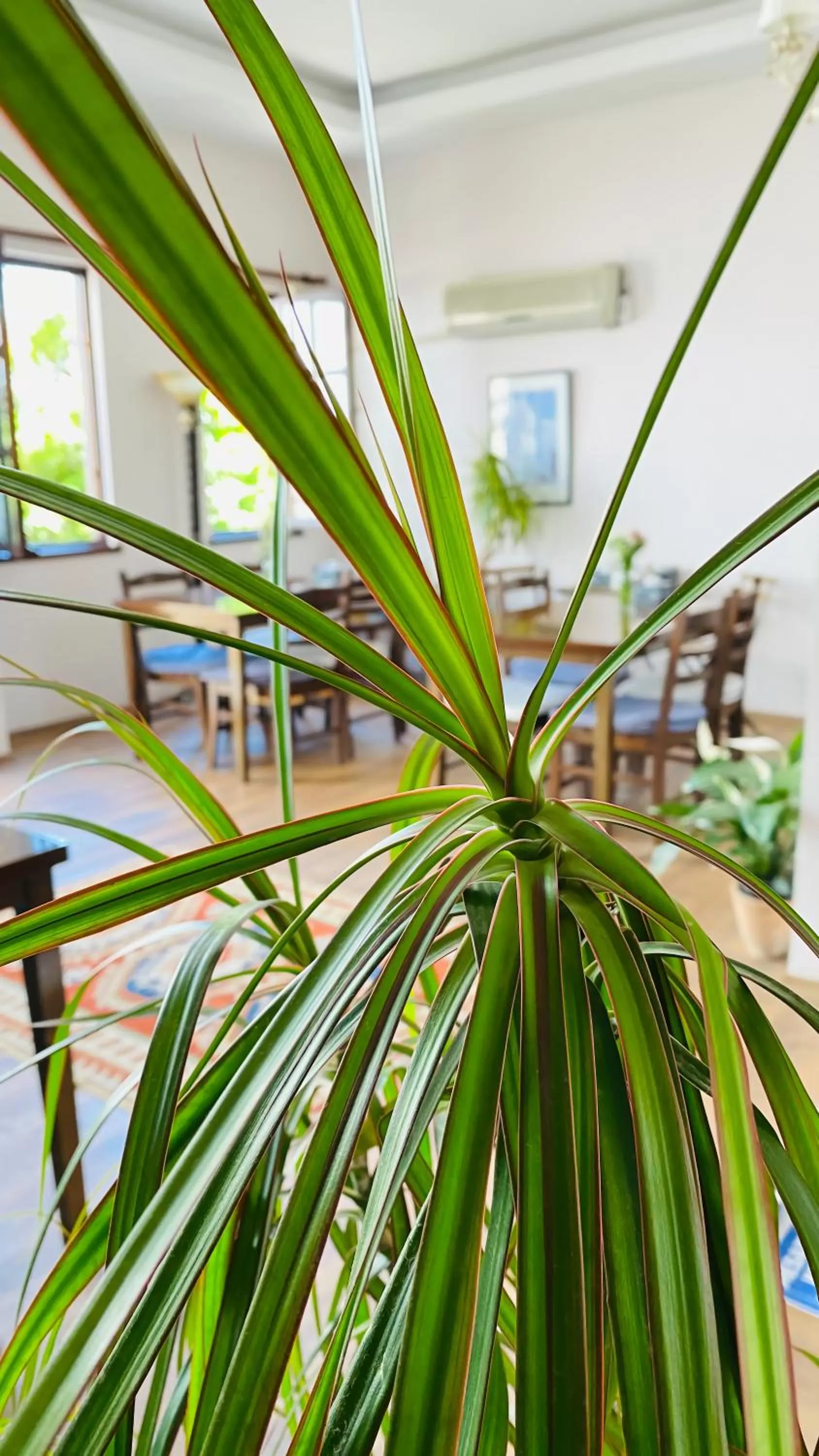Seating area in Kaleici Hotel