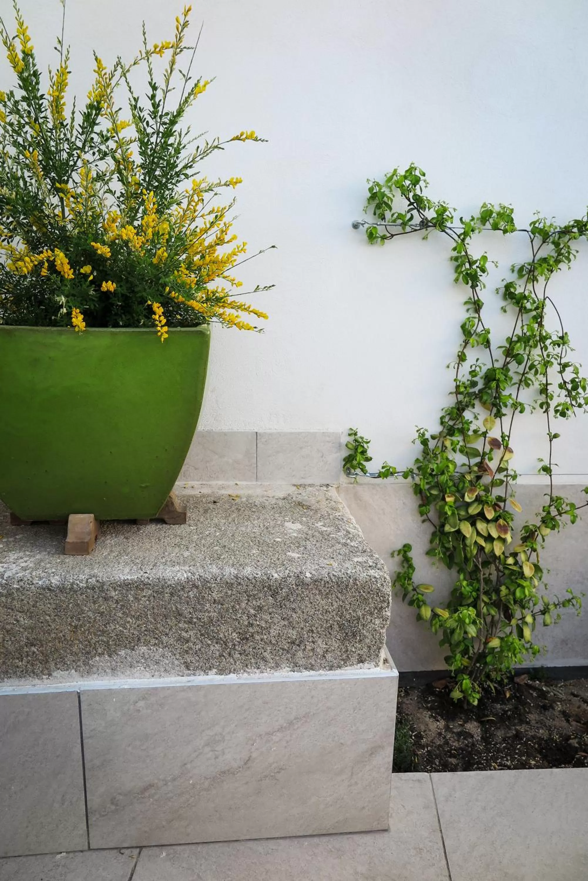 Patio in Tomé, casa de huéspedes