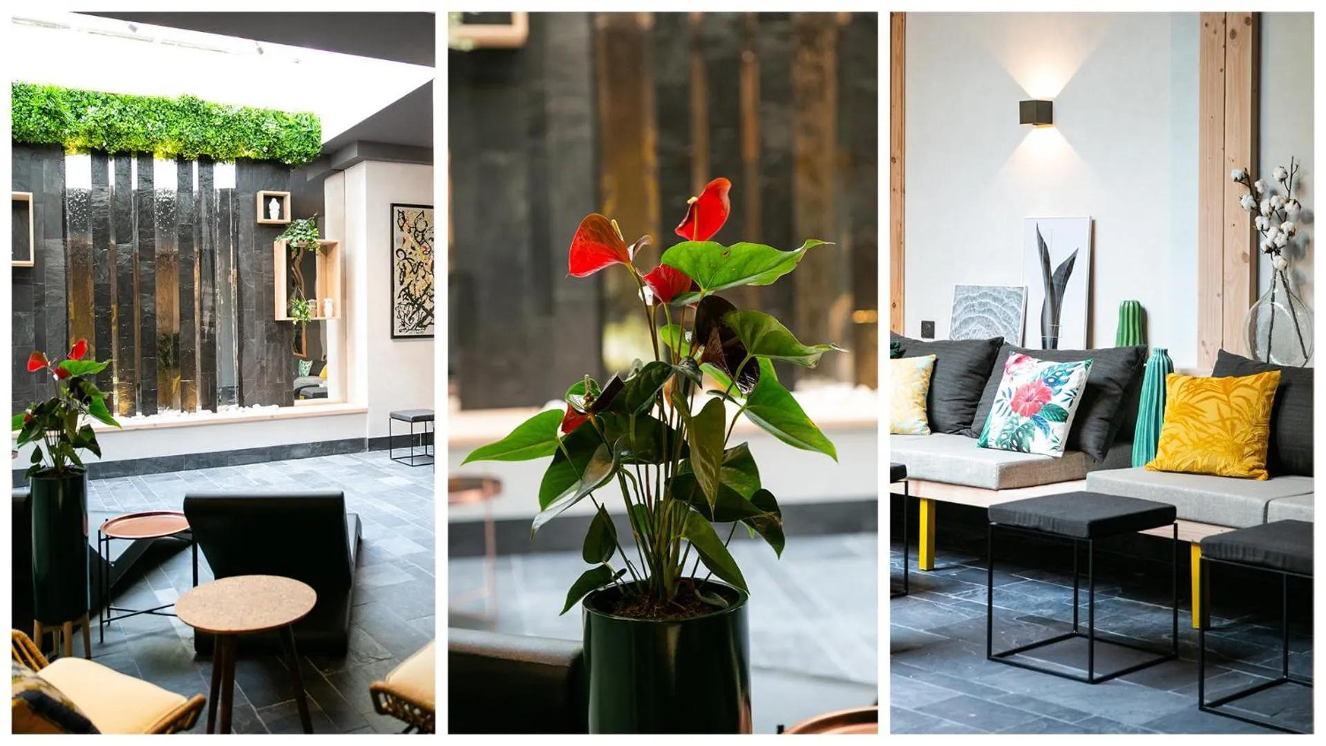 Communal lounge/ TV room in Alex Hotel & Spa