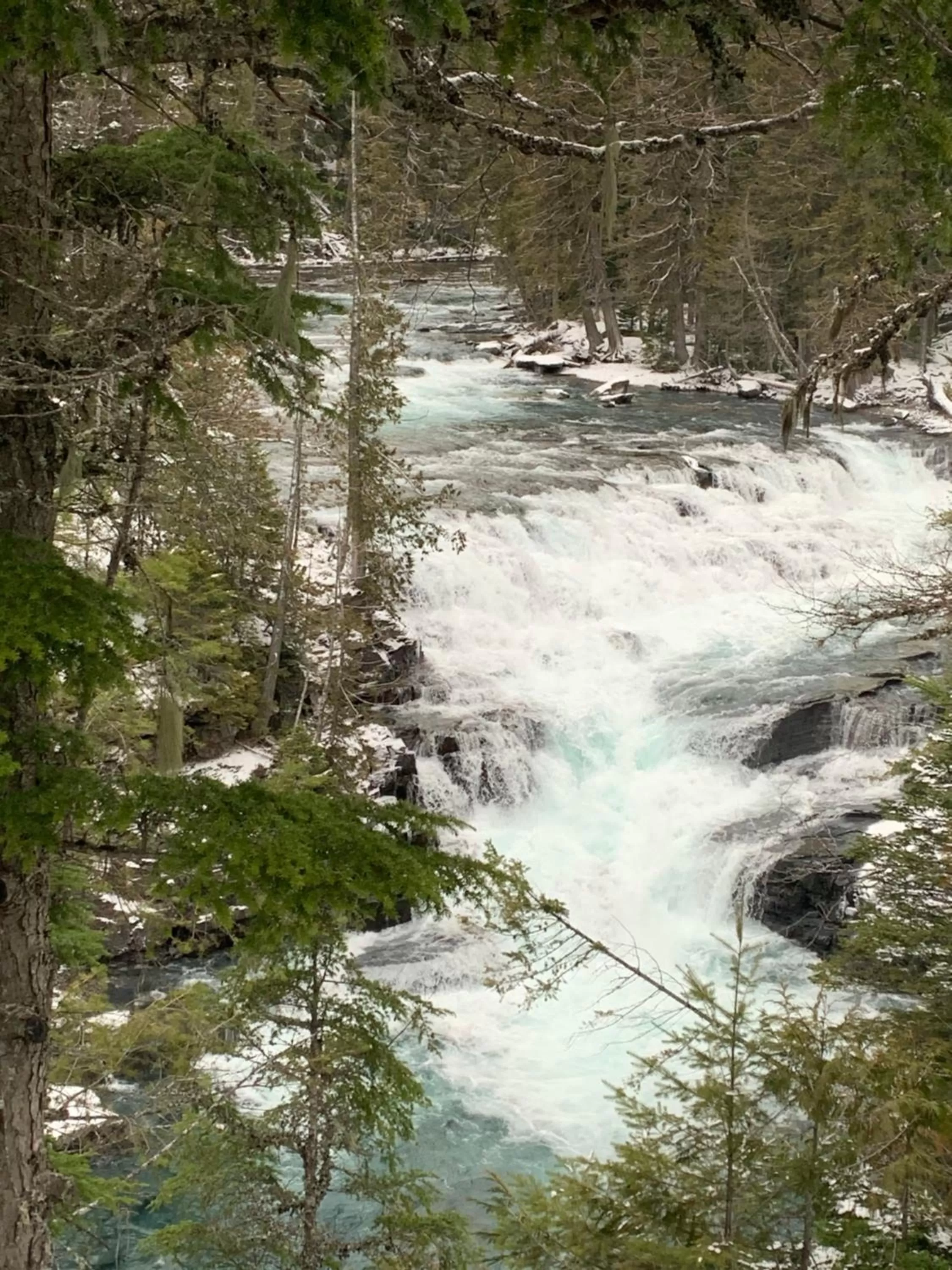 Natural landscape in Glacier Haven Inn