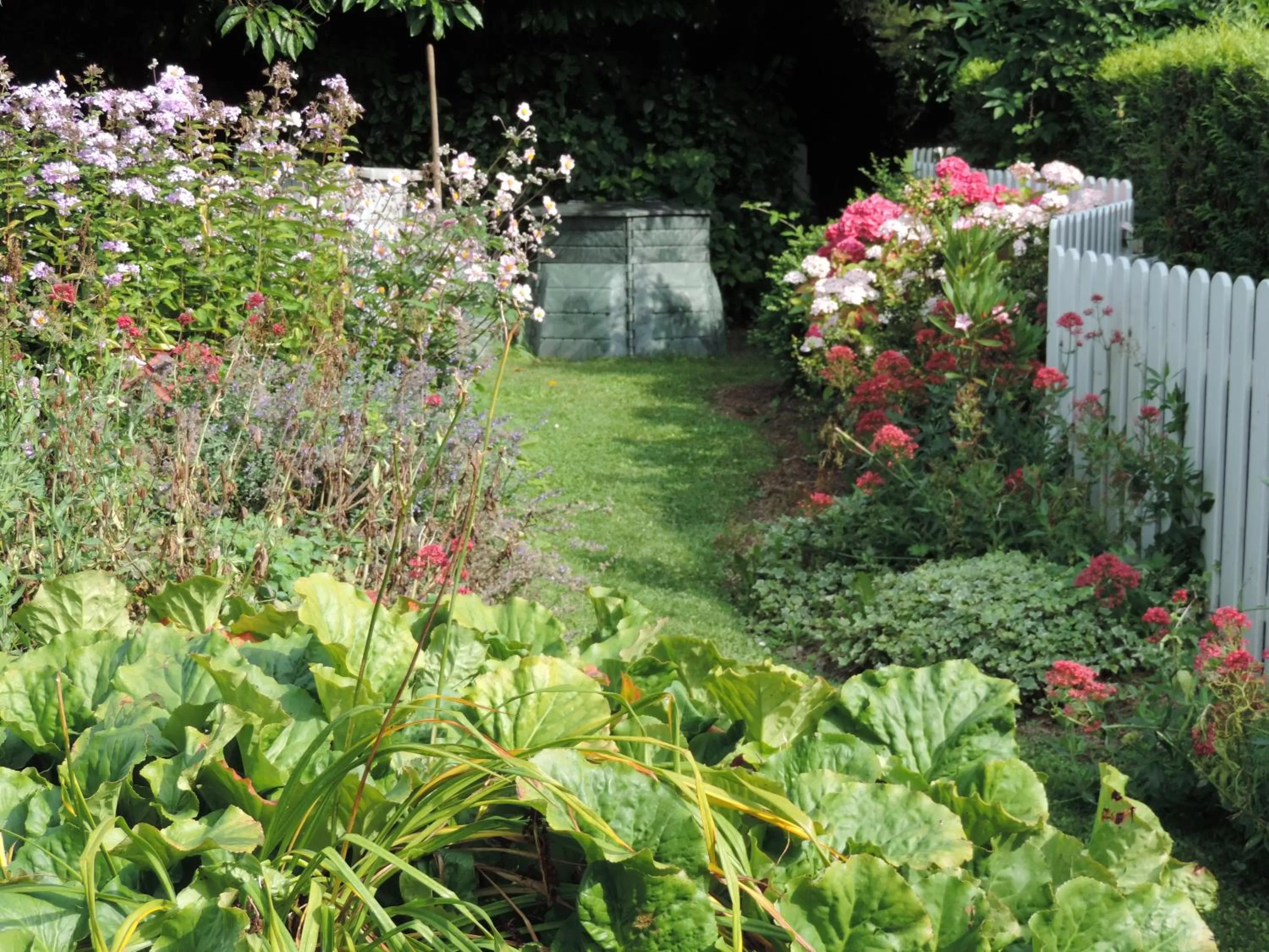 Garden in Chateau La Cheneviere