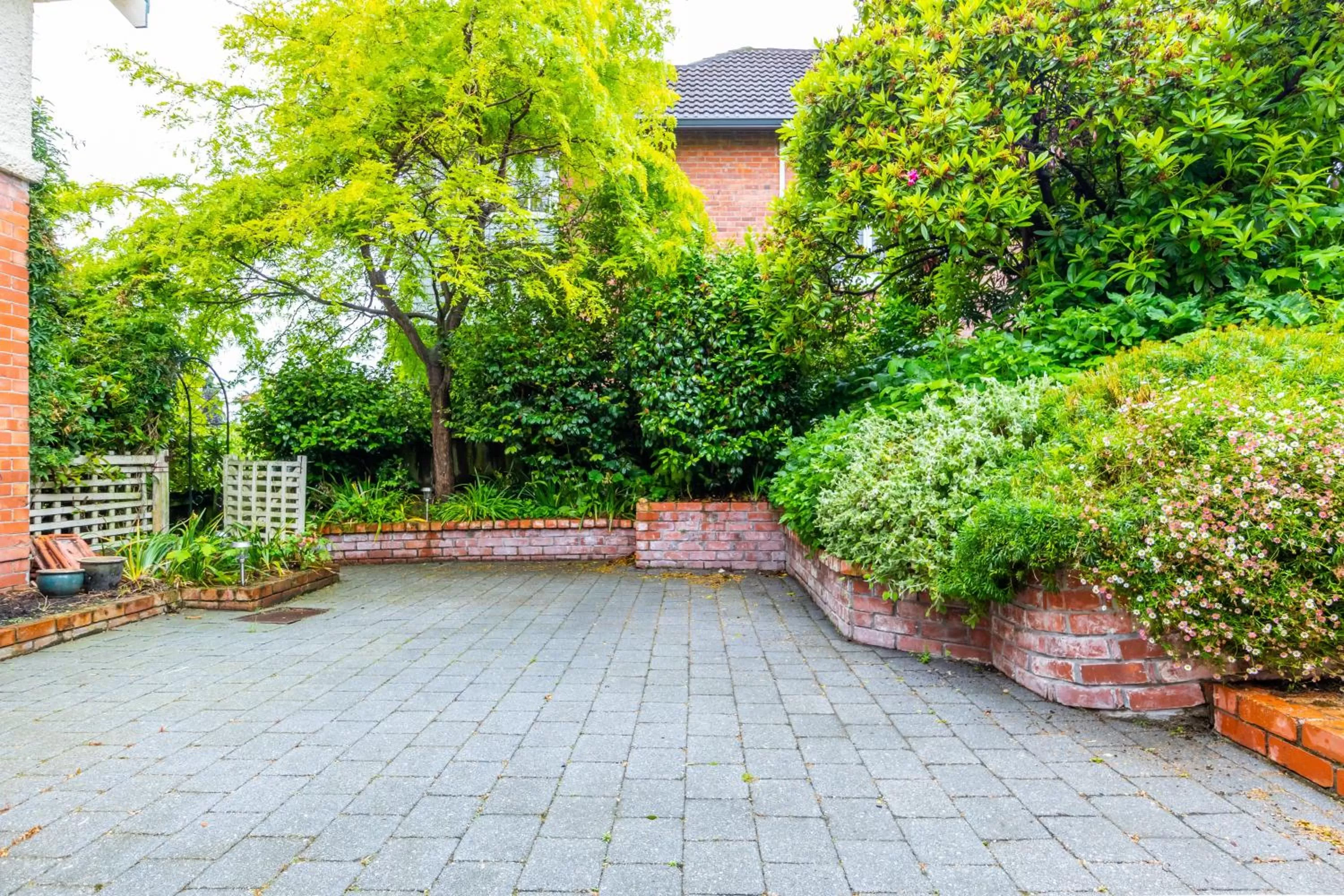 The Ocean Breeze CBD