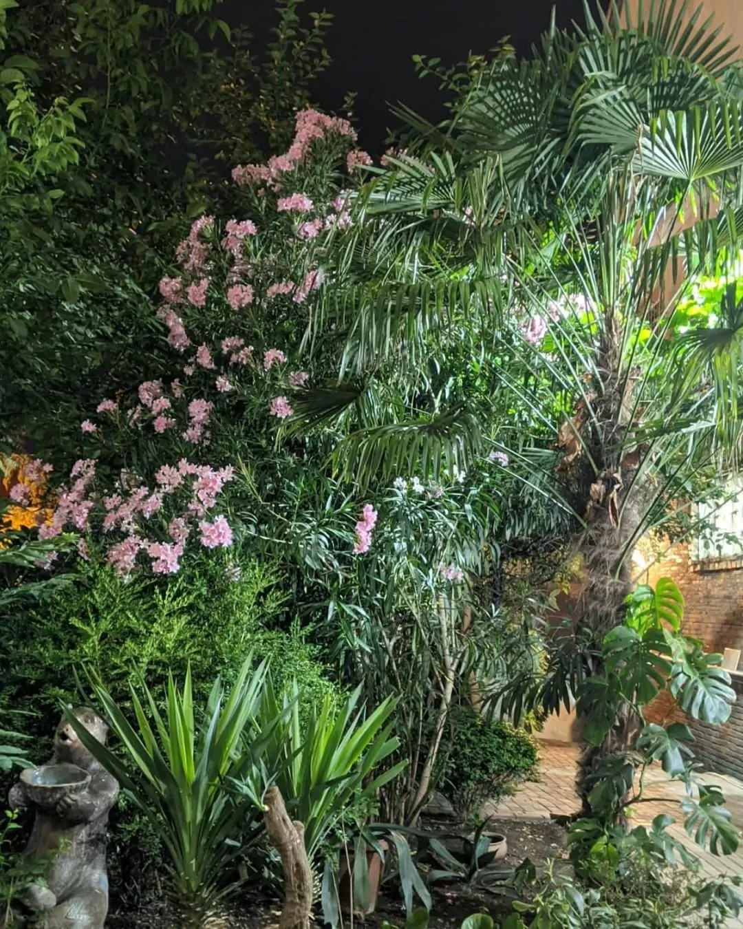 Garden in Hotel Kalanga