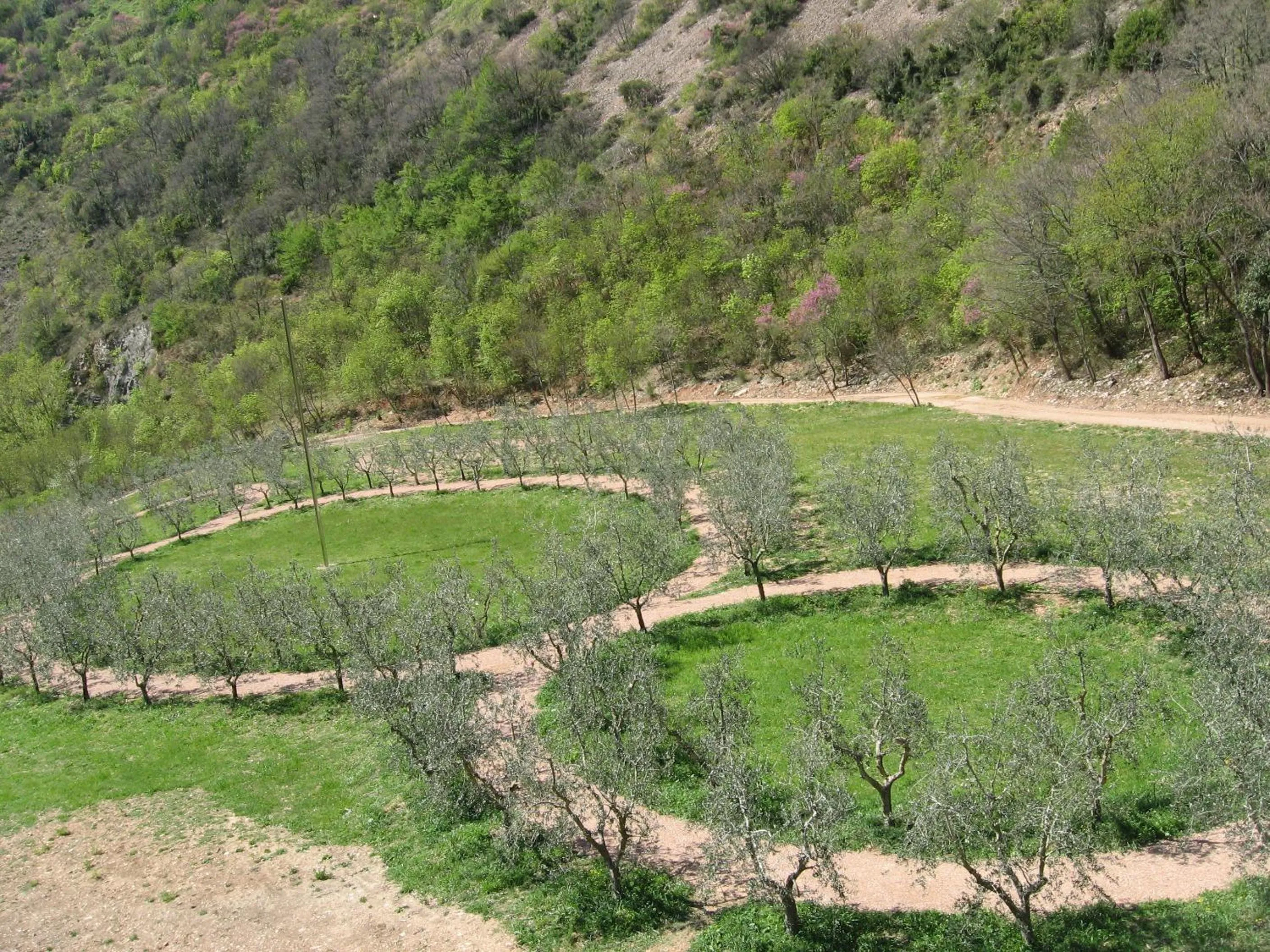 Area and facilities in Campiglione Hotel