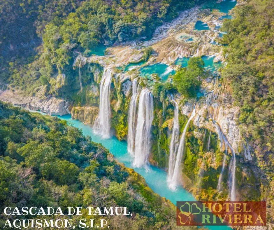 Natural landscape in Hotel Riviera