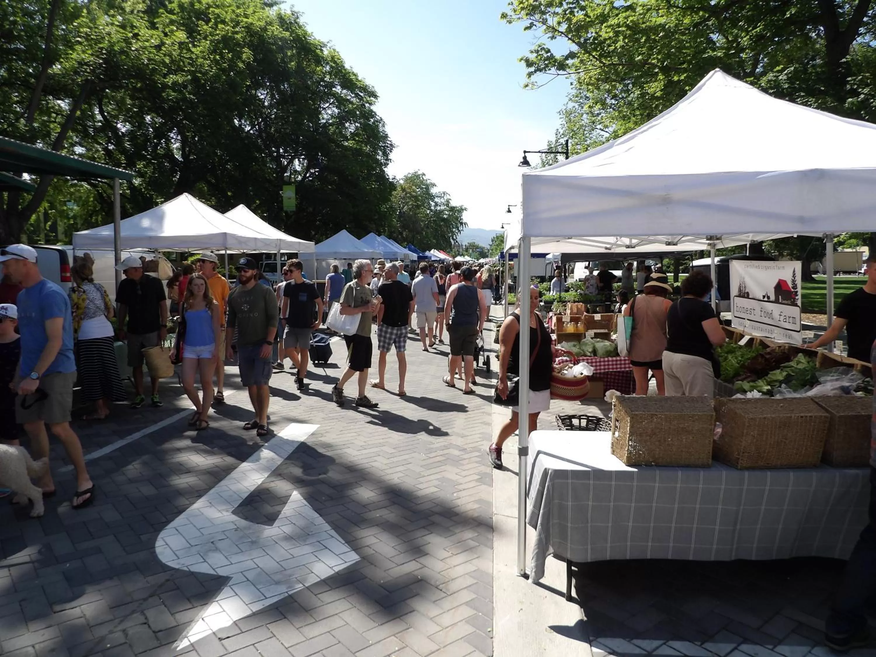People in Okanagan Lakefront Resort