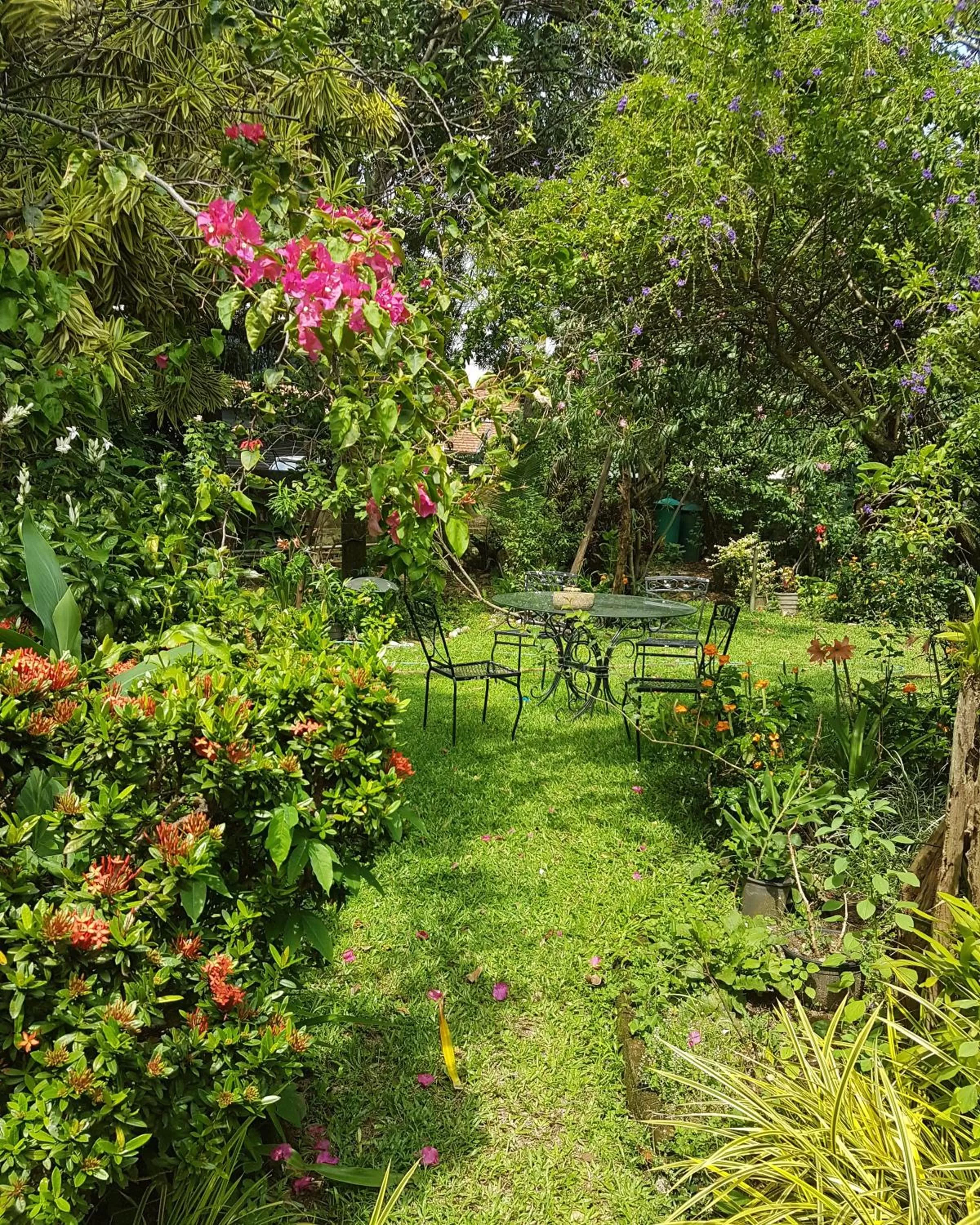 Garden in Highbury Colombo