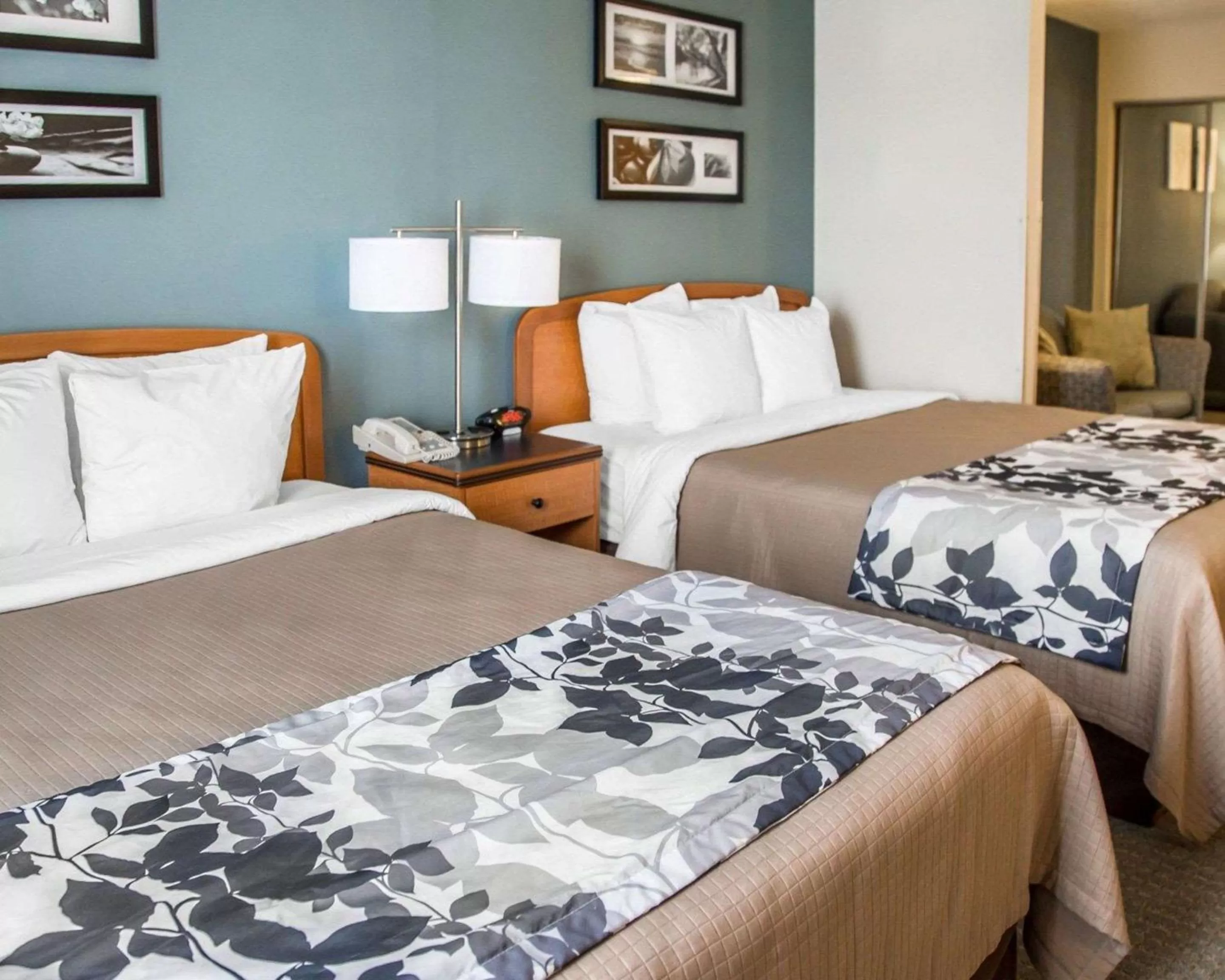 Photo of the whole room, Bed in Sleep Inn & Suites Davenport - Quad Cities