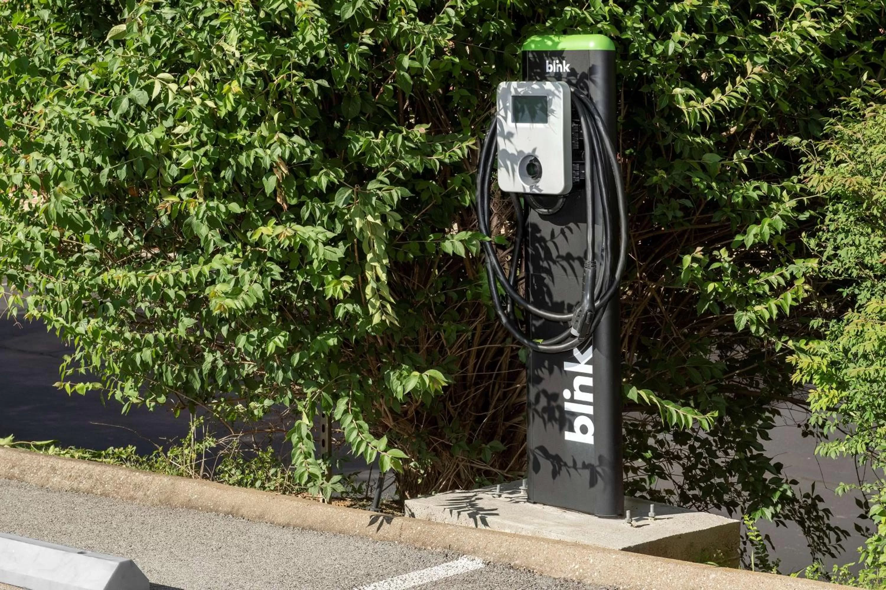 Property building in Hilton Garden Inn Knoxville West/Cedar Bluff